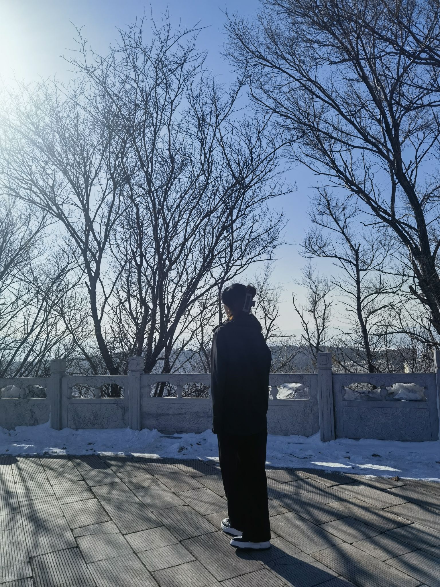 翠峰山公园旅行图片