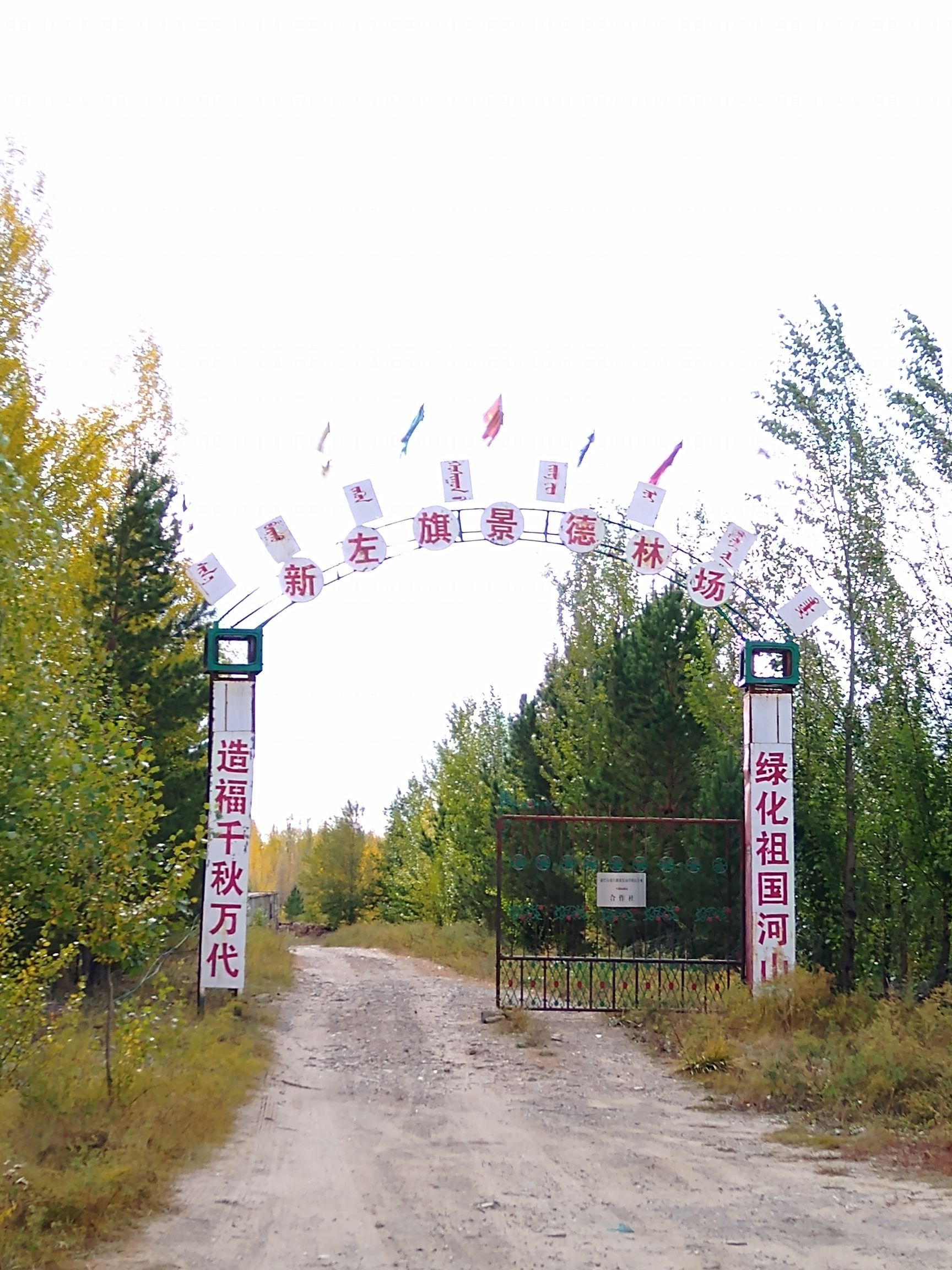 东旗景德林