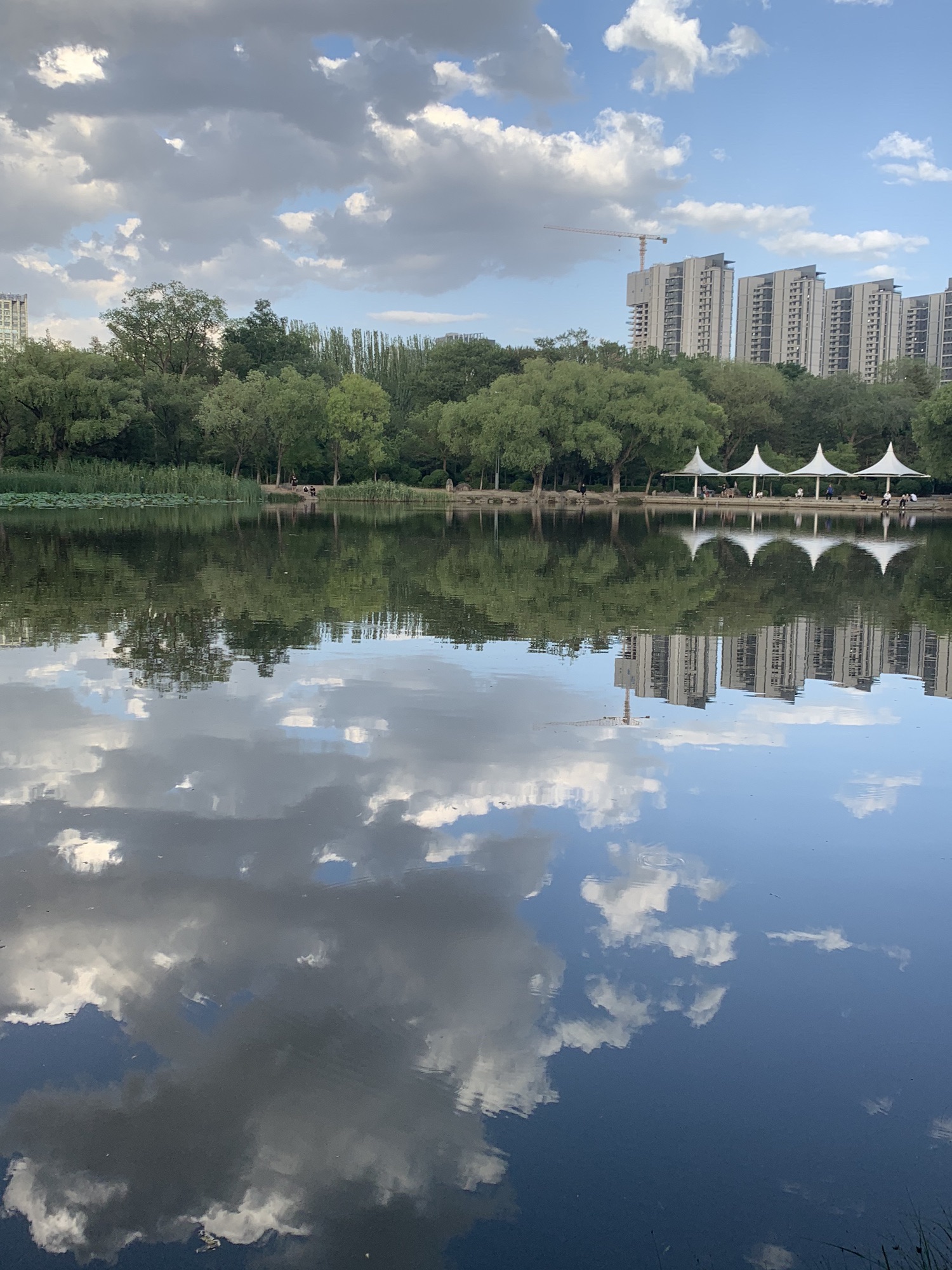 青城公园