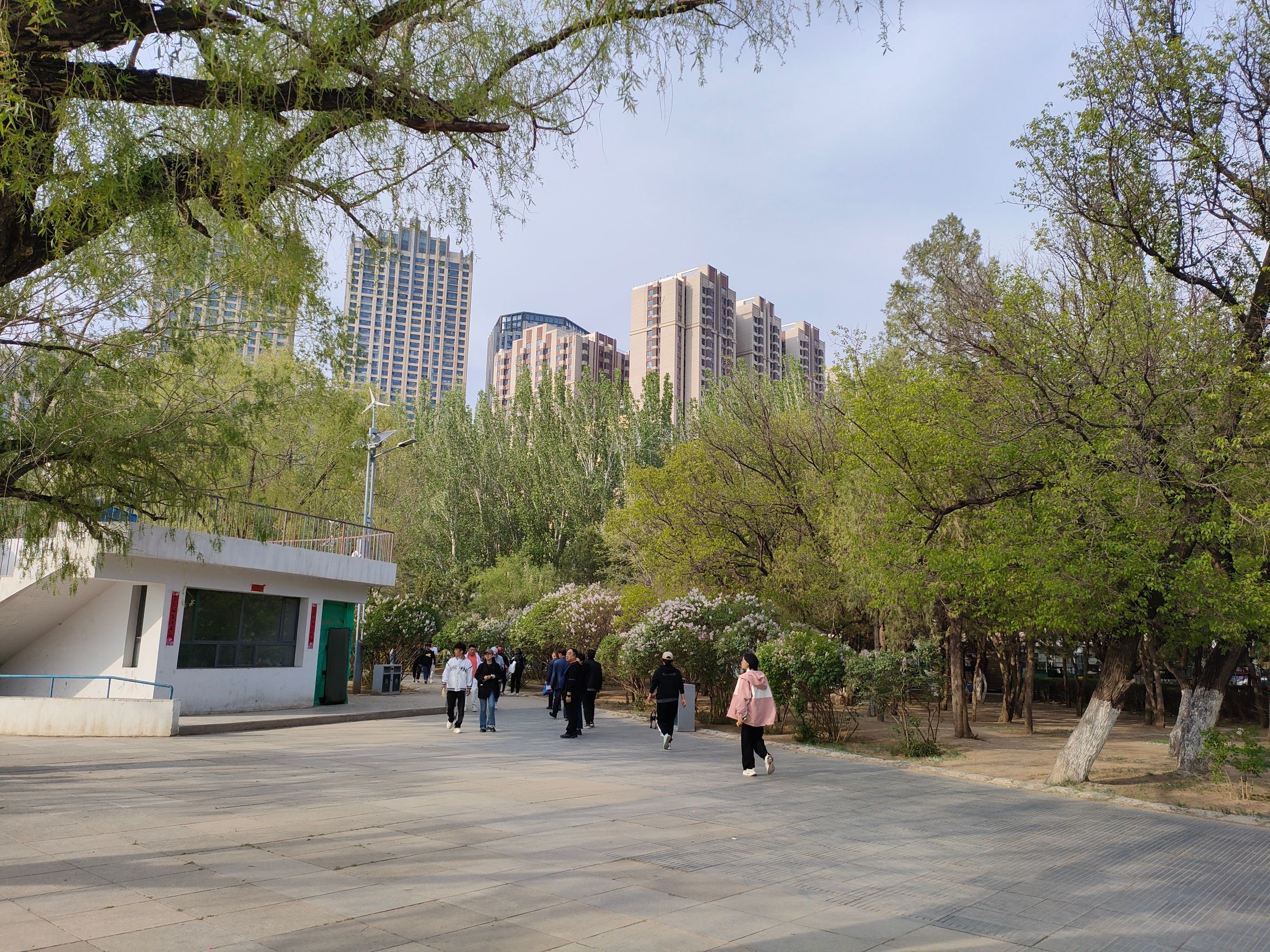青城公园旅行图片
