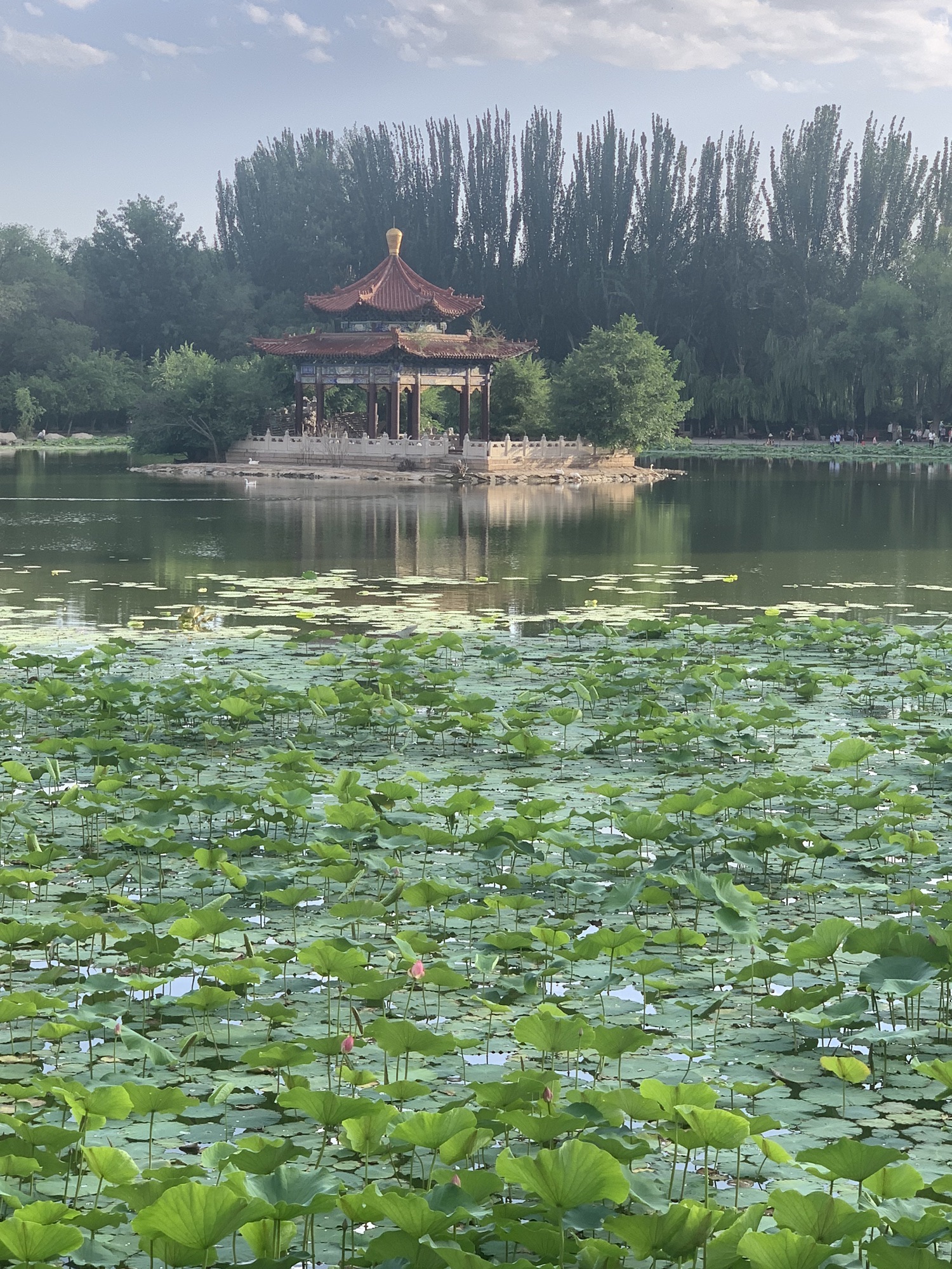 青城公园旅行图片