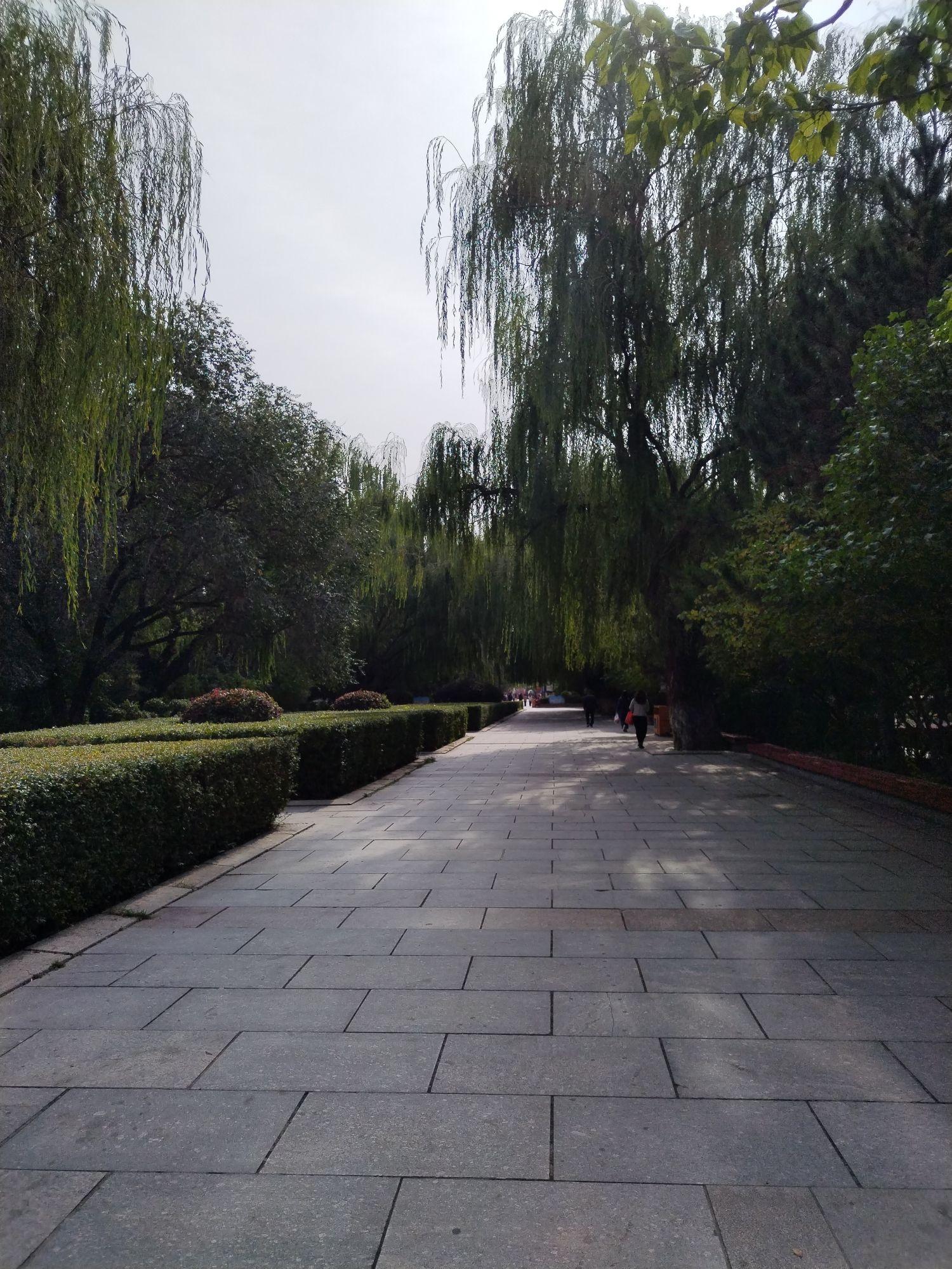 青城公园旅行图片