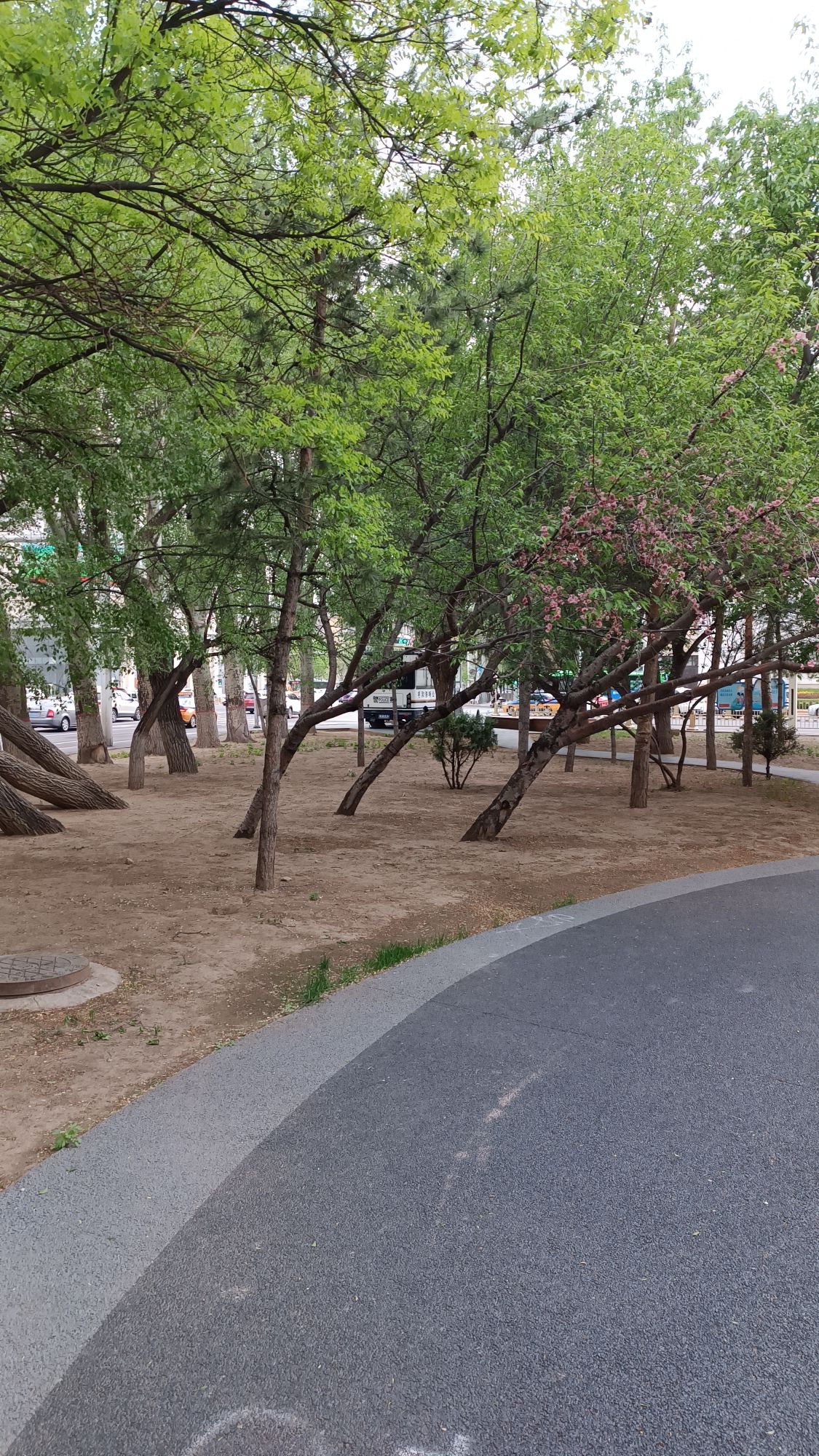清代绥远城阜安门遗址