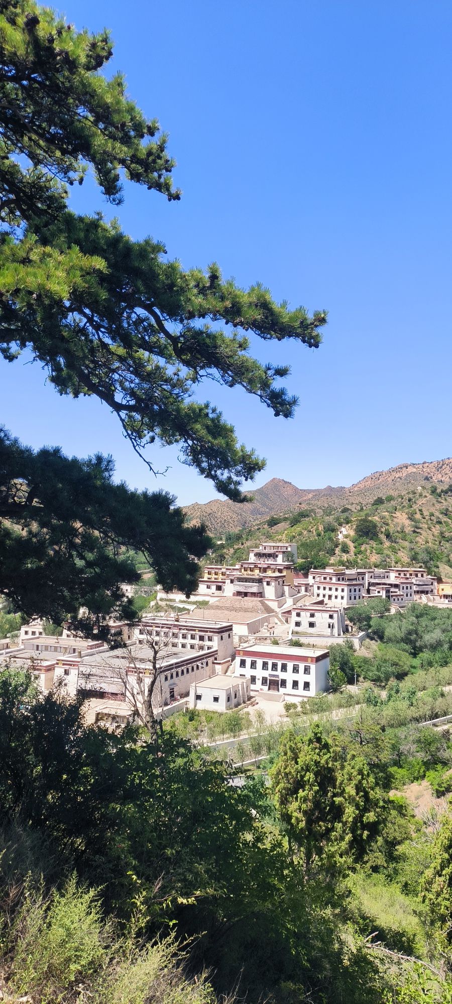 五当召