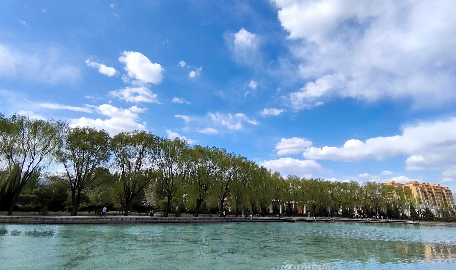 萨拉齐生态公园旅行图片