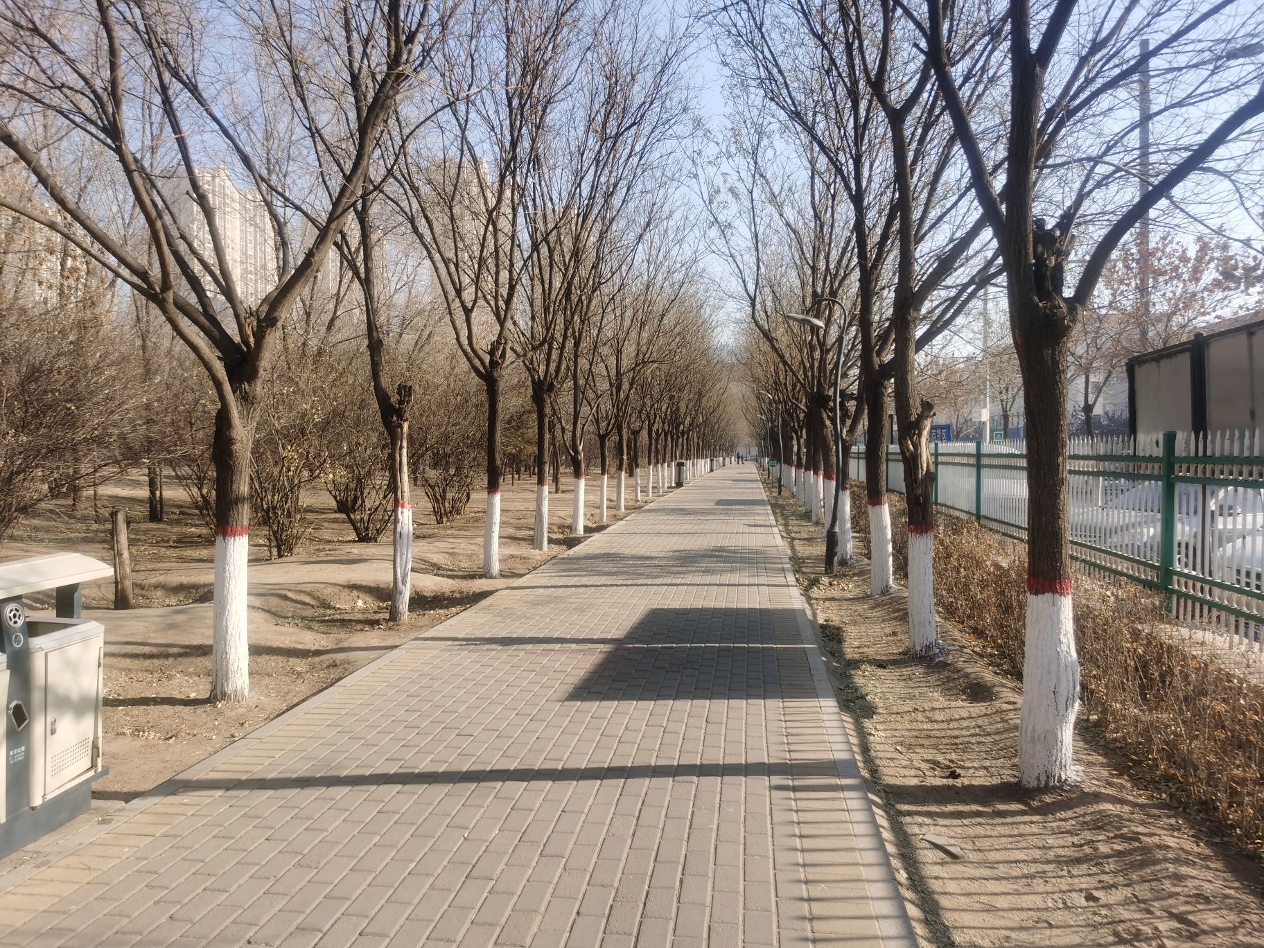 八一公园旅行图片