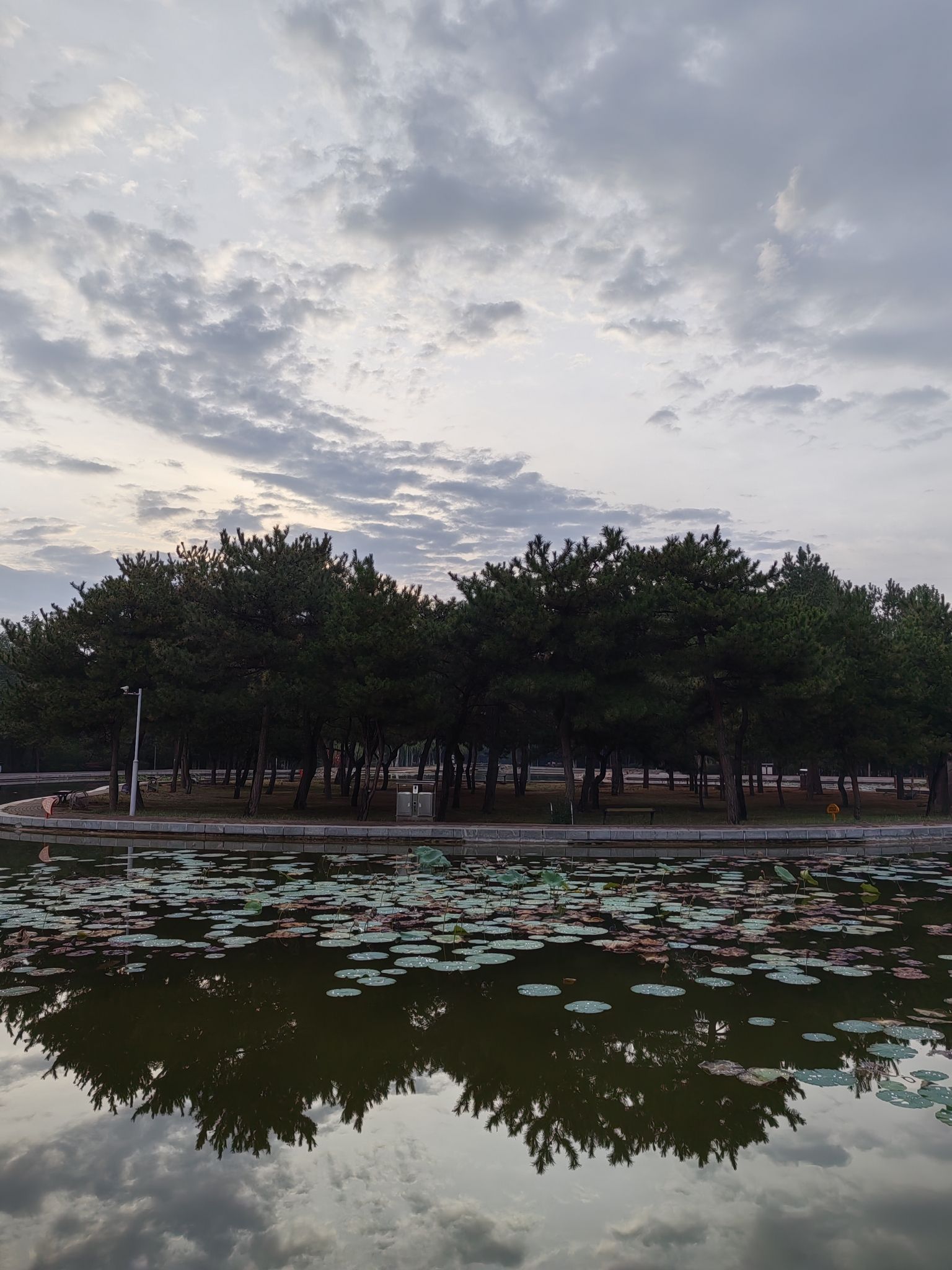 锦林公园