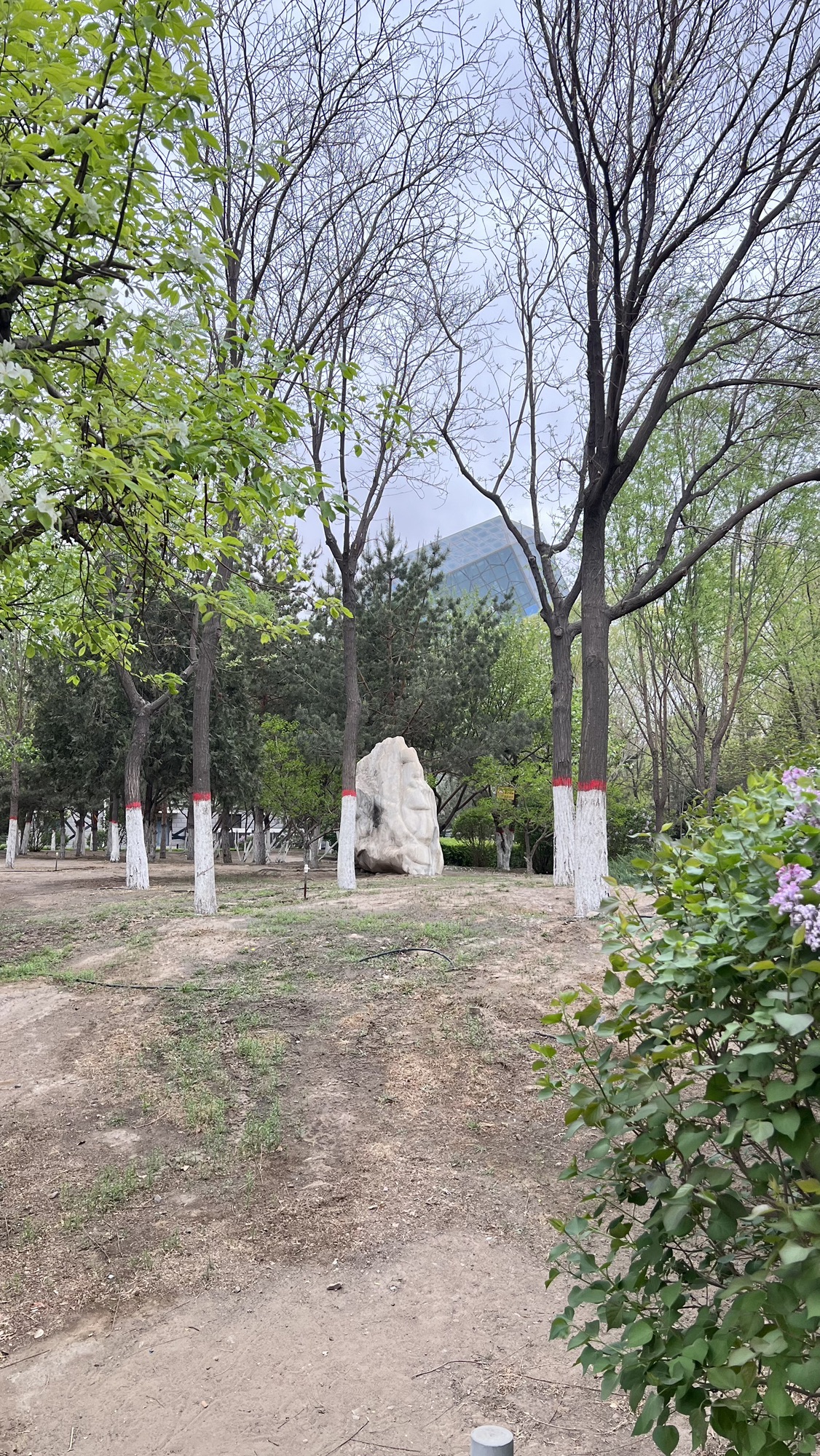 神华墨玉广场