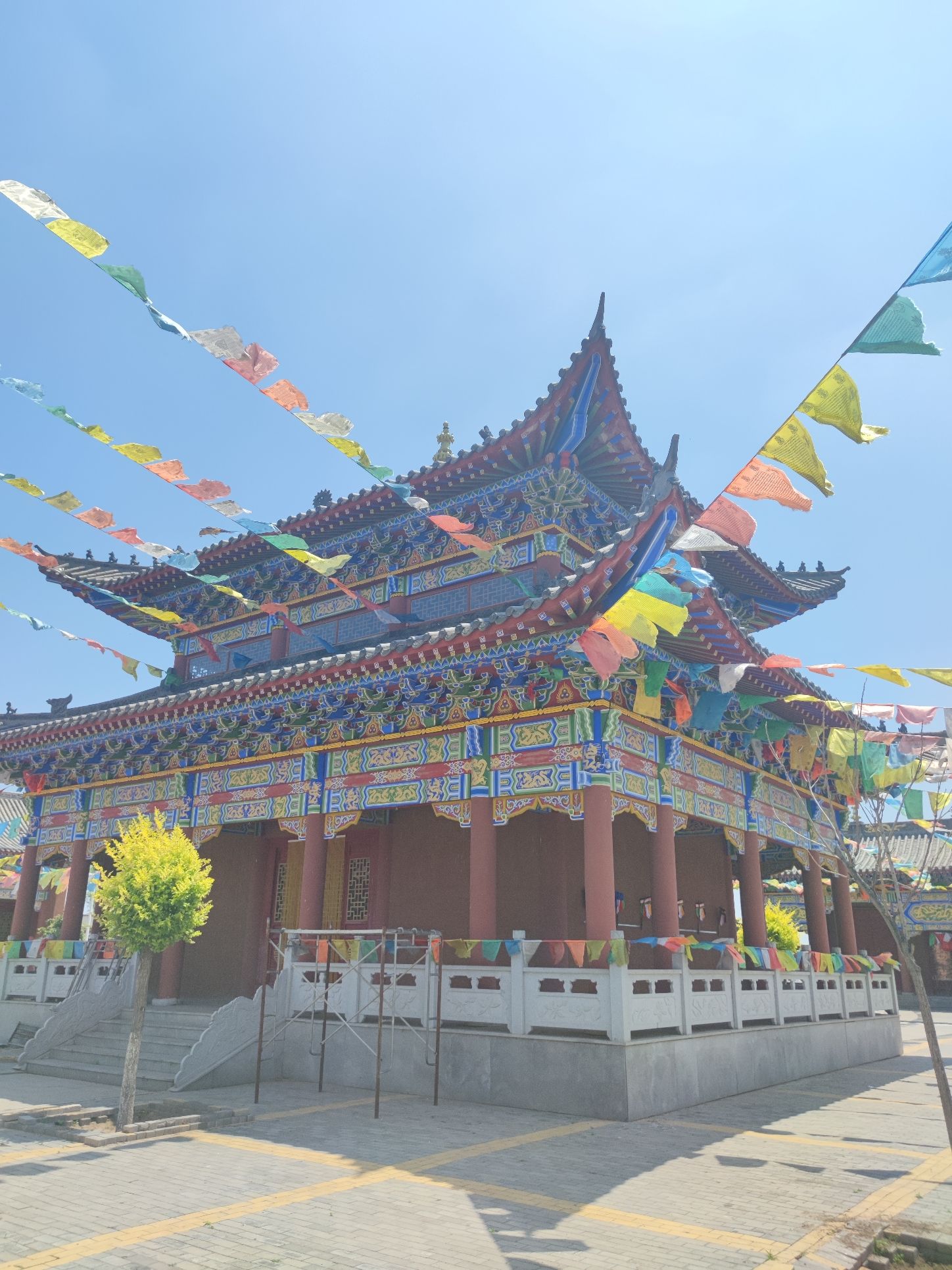 内蒙古阿古拉草原度假旅游区旅行图片