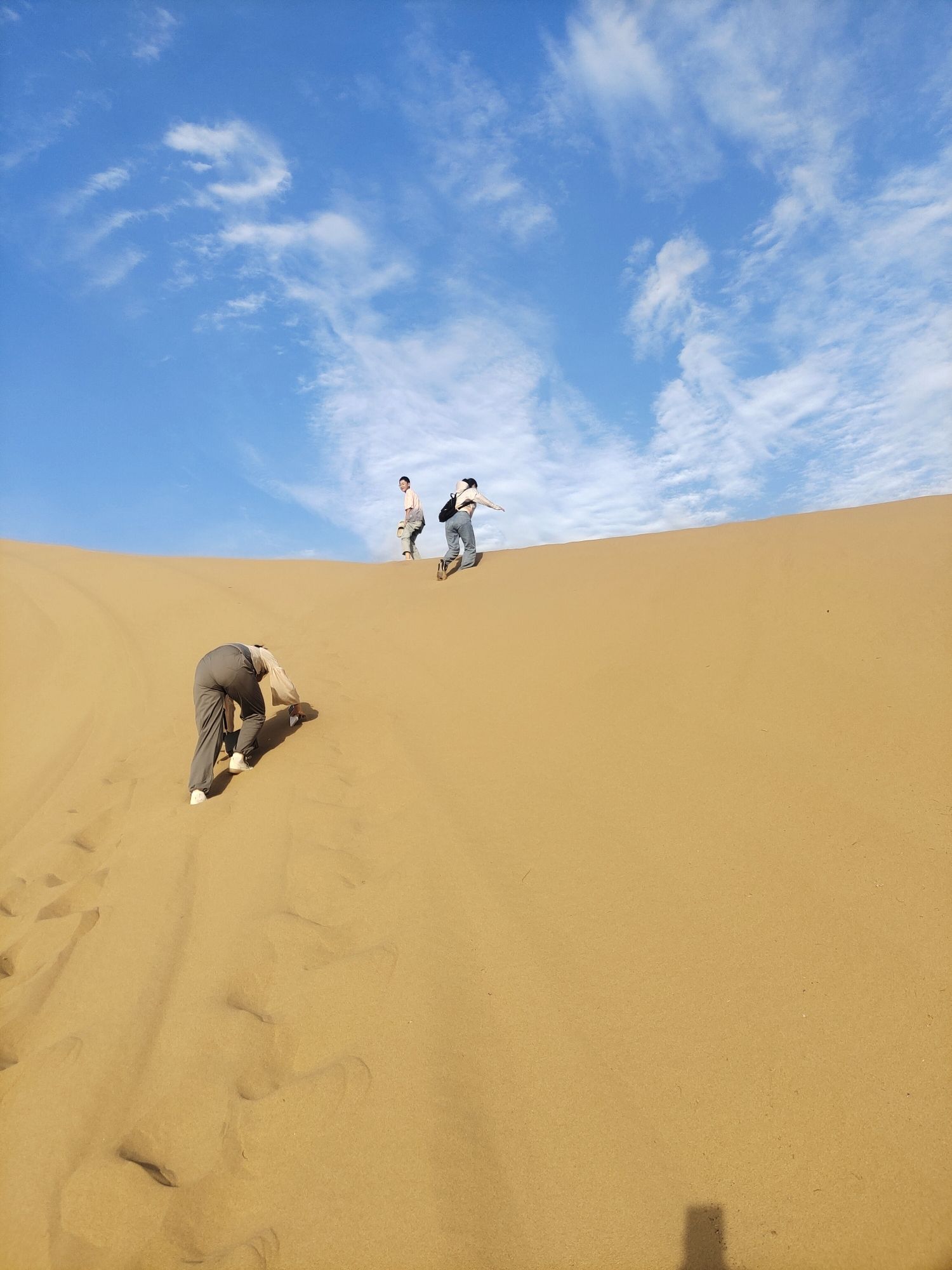 亿利库布其七星湖沙漠生态旅游区旅行图片