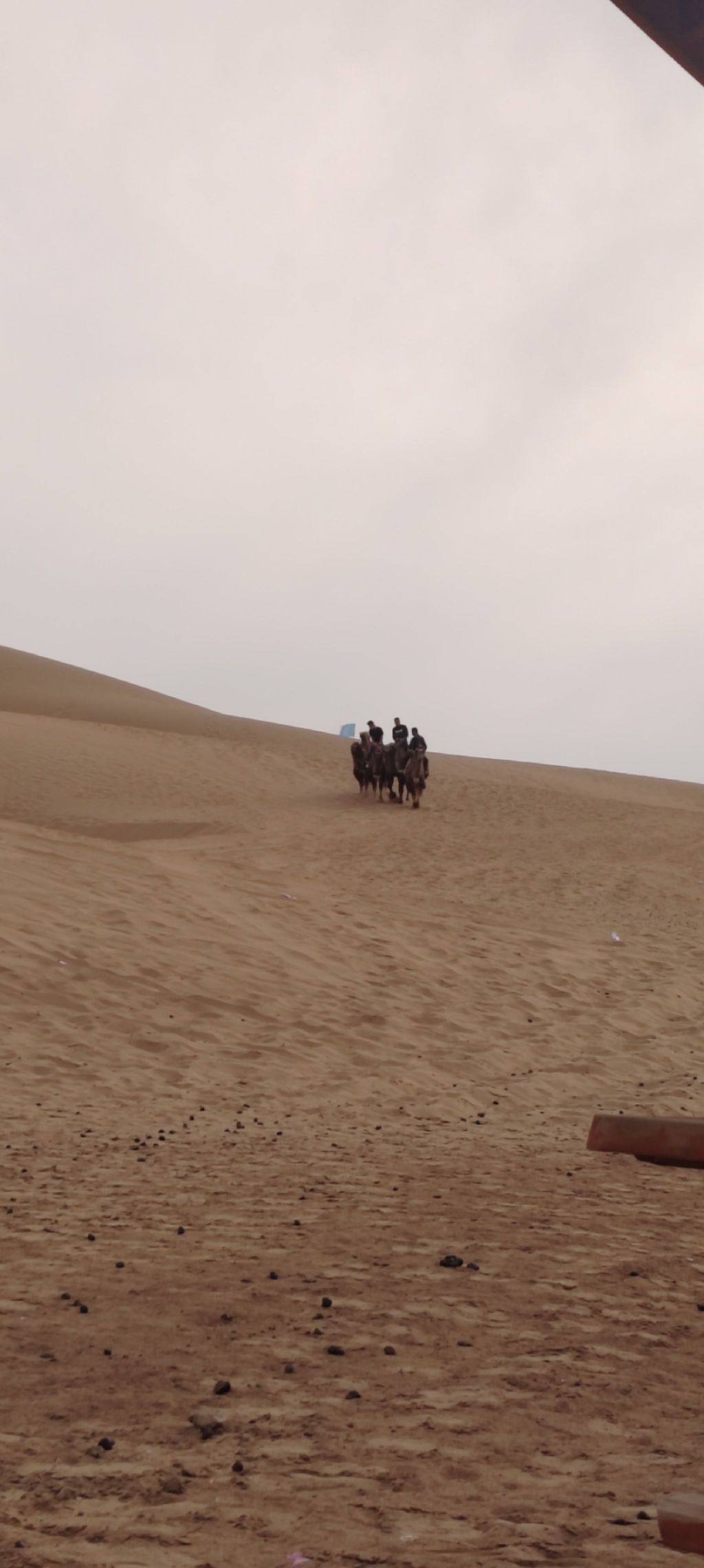 亿利库布其七星湖沙漠生态旅游区旅行图片