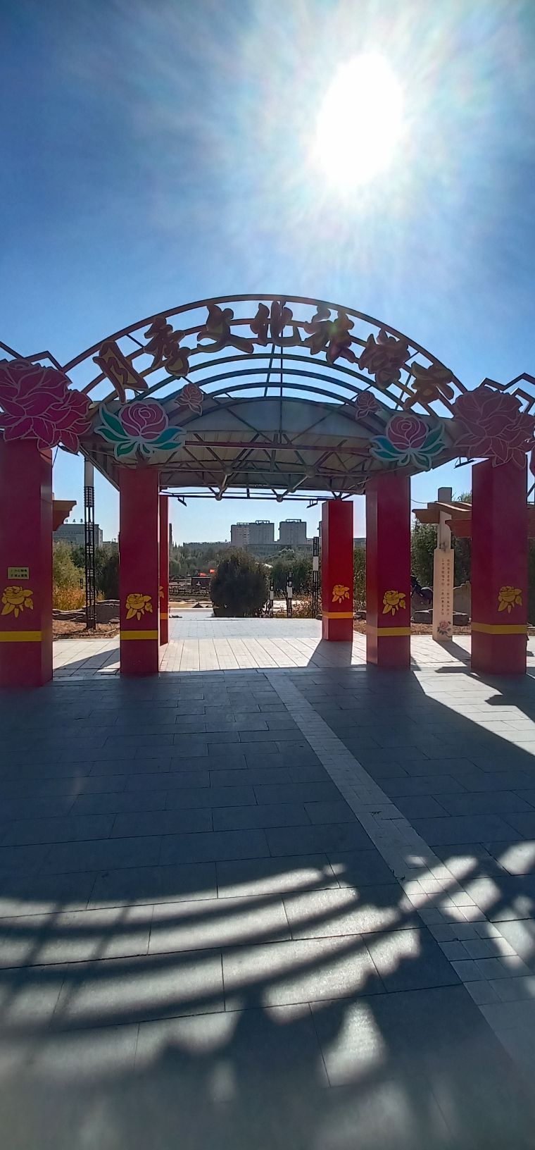 东胜月季文化公园