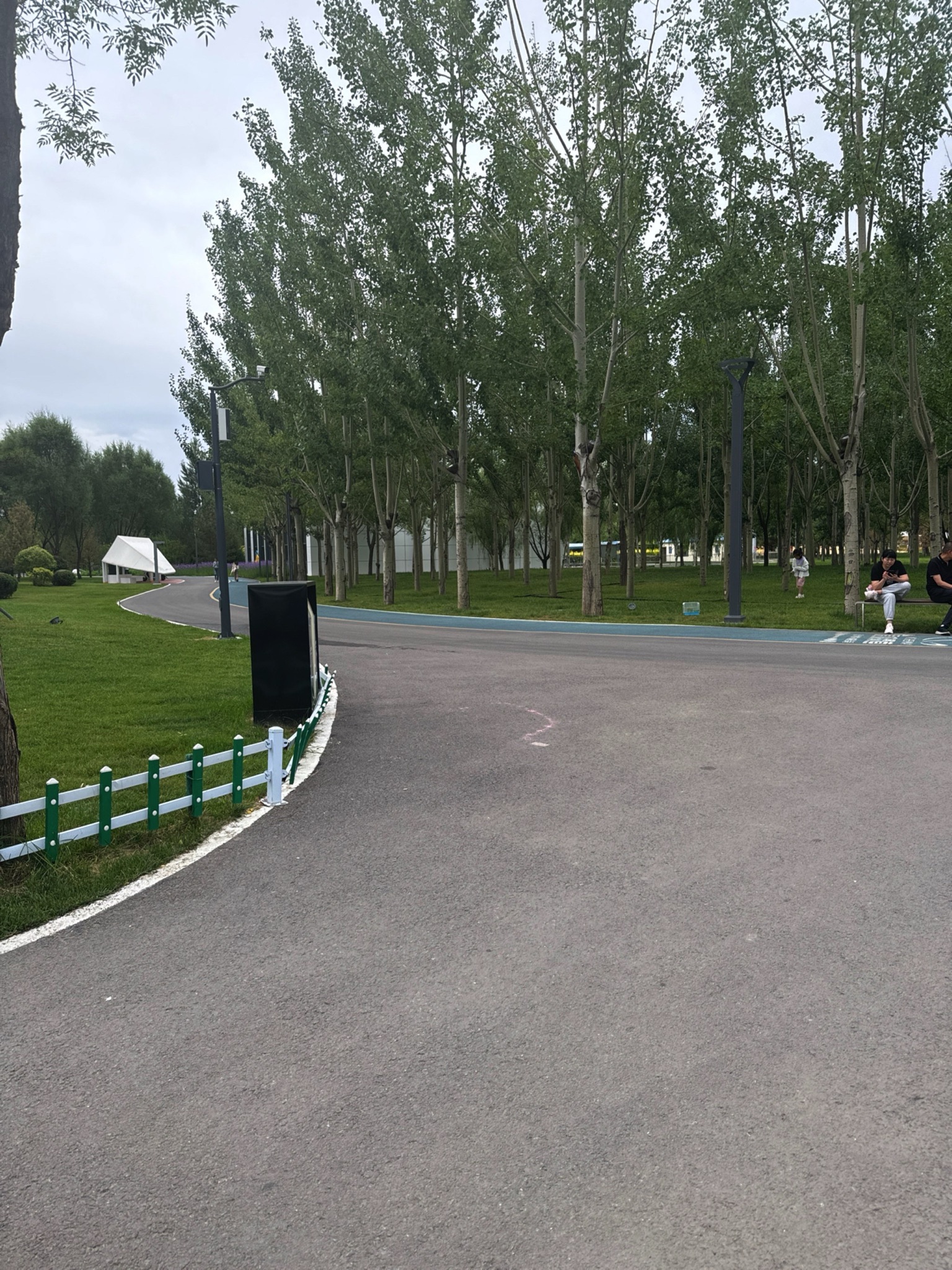 鄂尔多斯智慧体育公园旅行图片