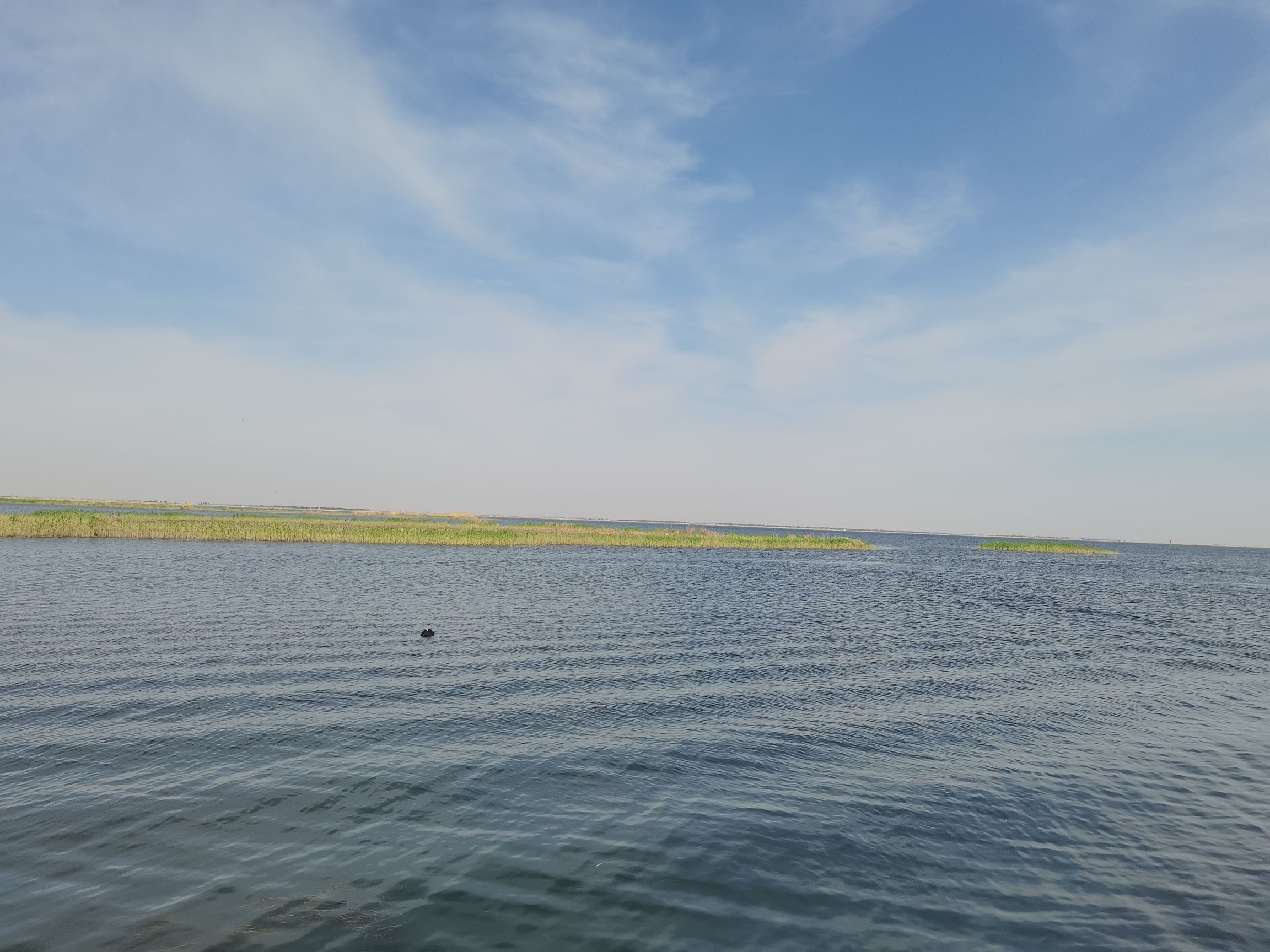 乌梁素海生态旅游景区(暂停开放)旅行图片