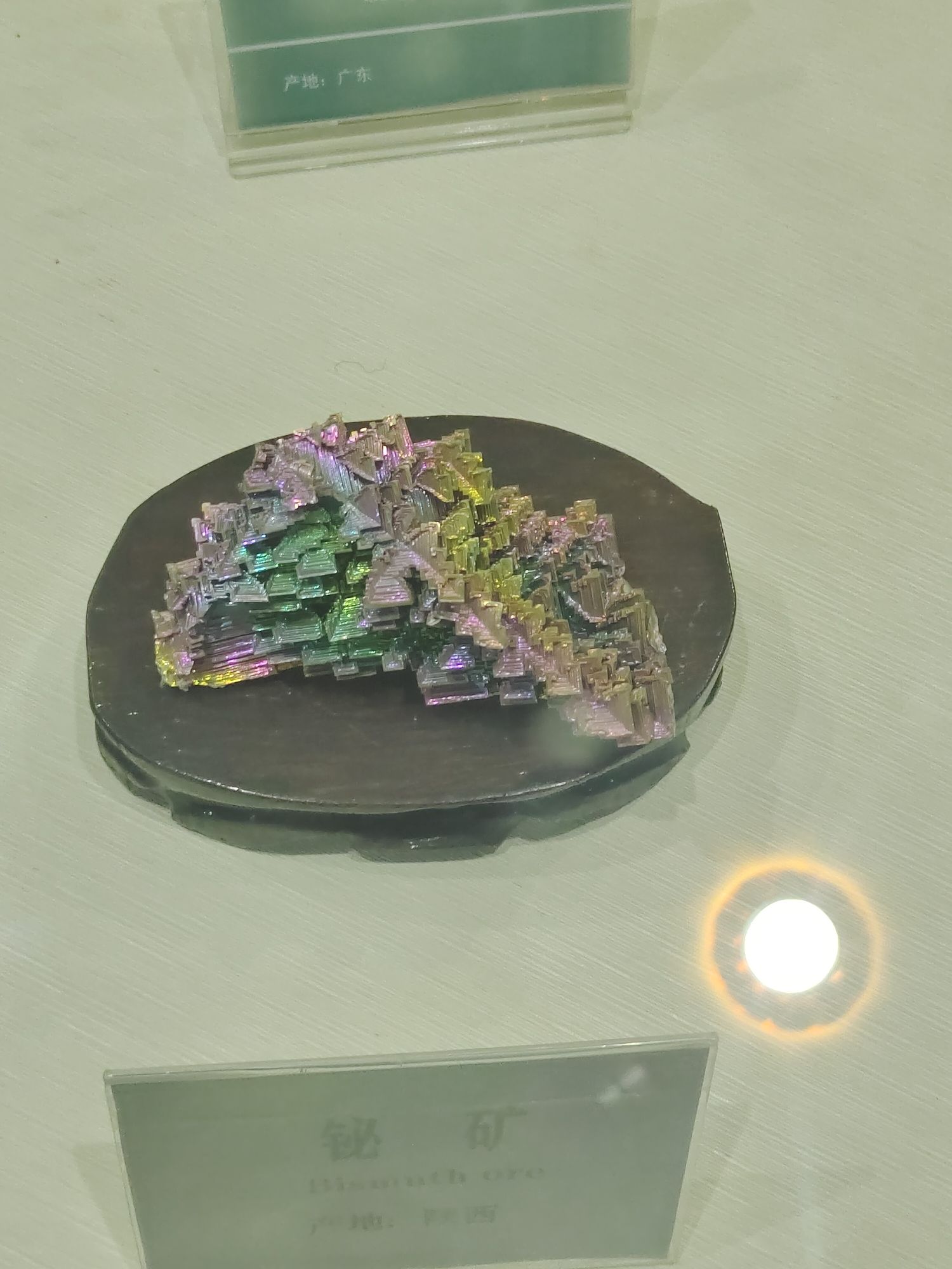巴彦淖尔自然博物馆旅行图片