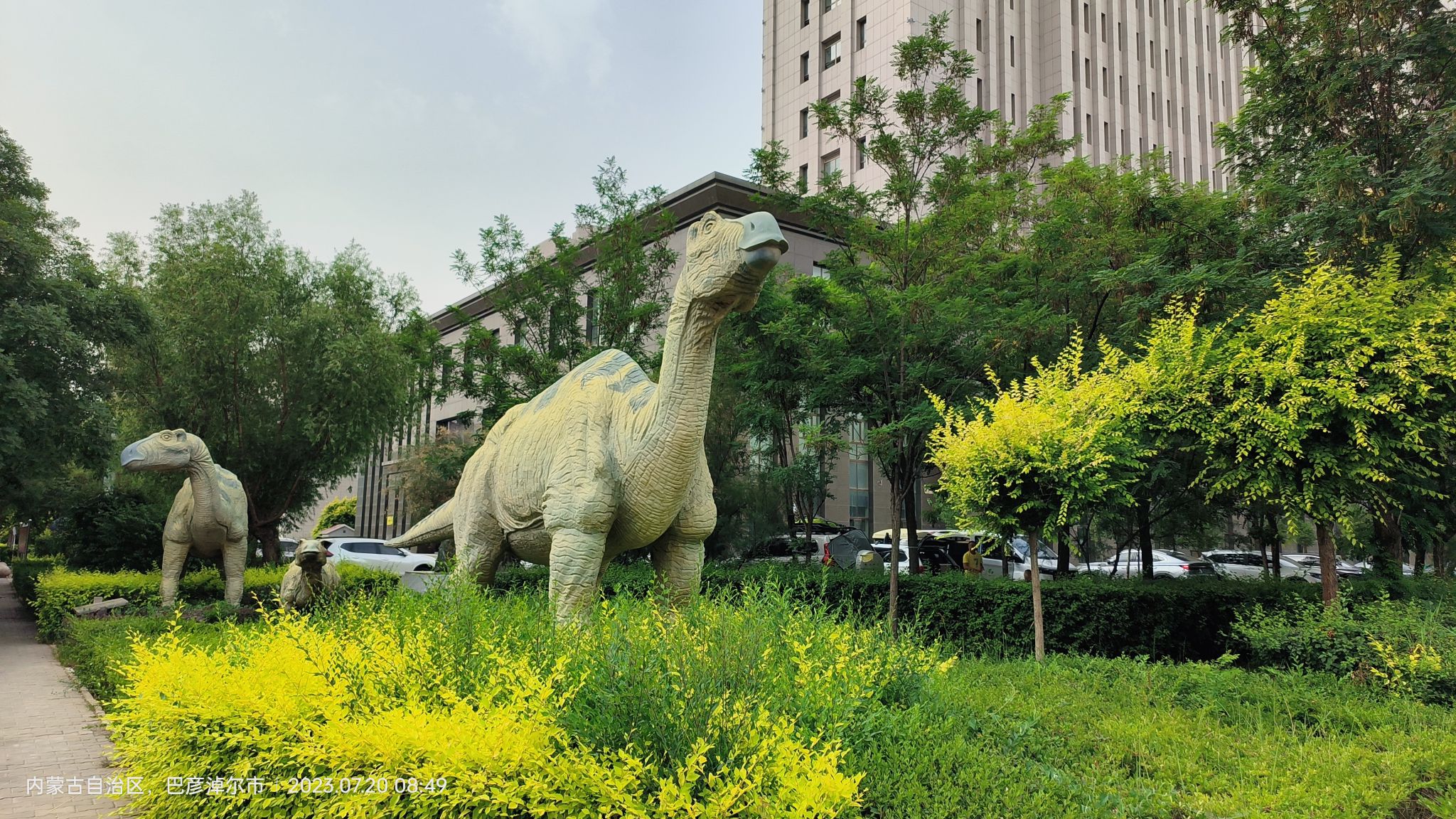 巴彦淖尔自然博物馆旅行图片