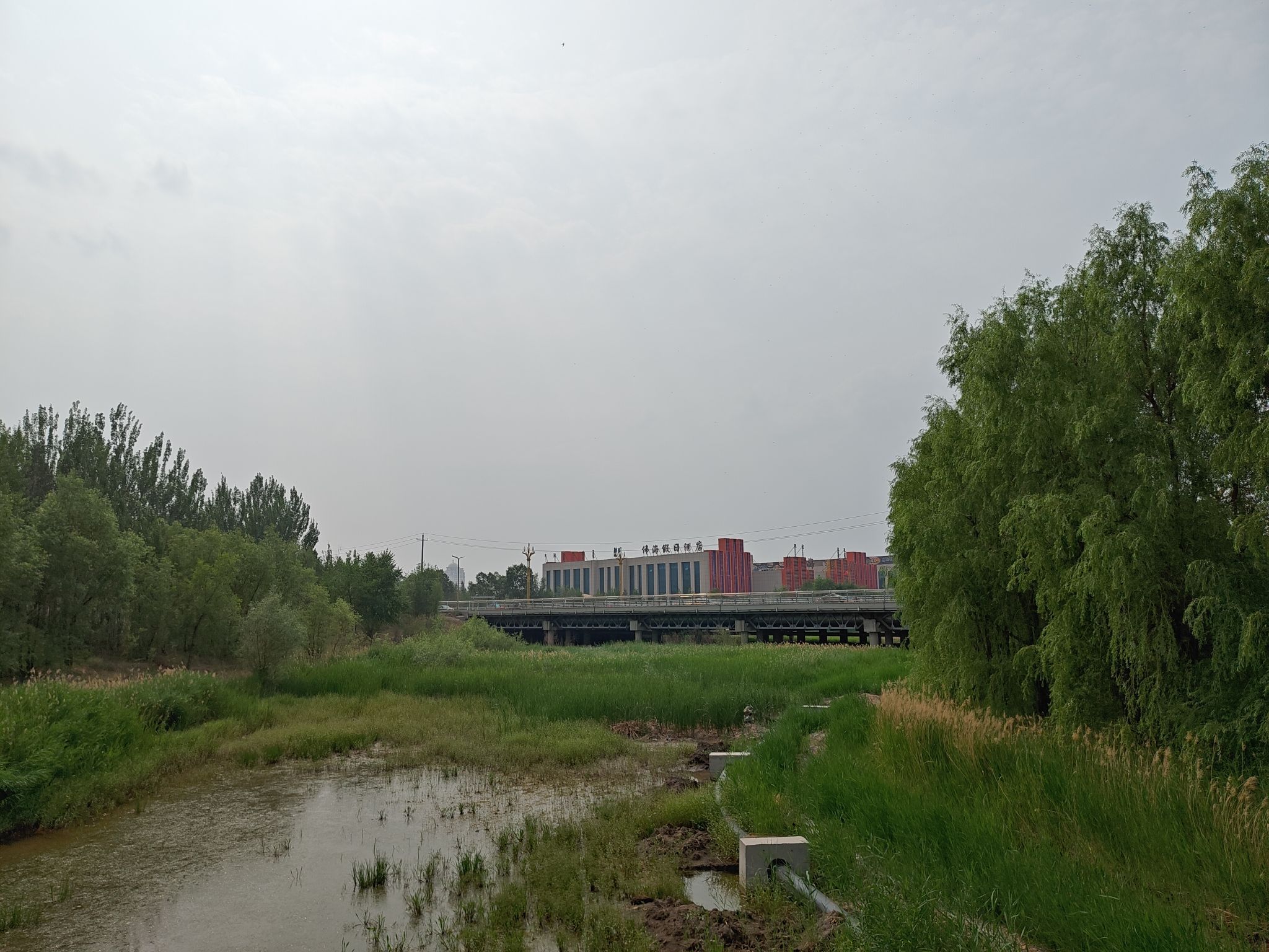 锡林浩特生态植物园旅行图片