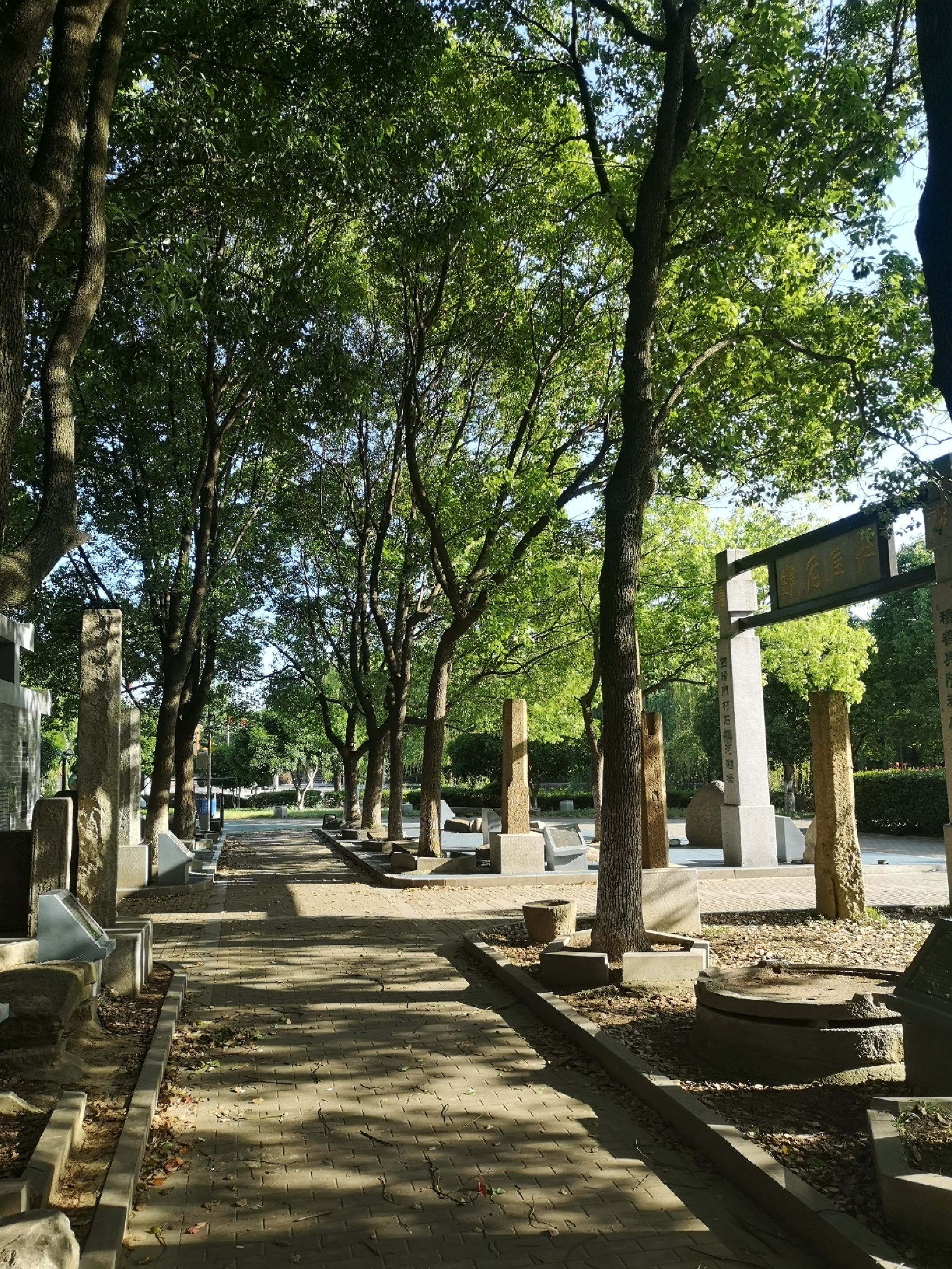 世纪公园旅行图片