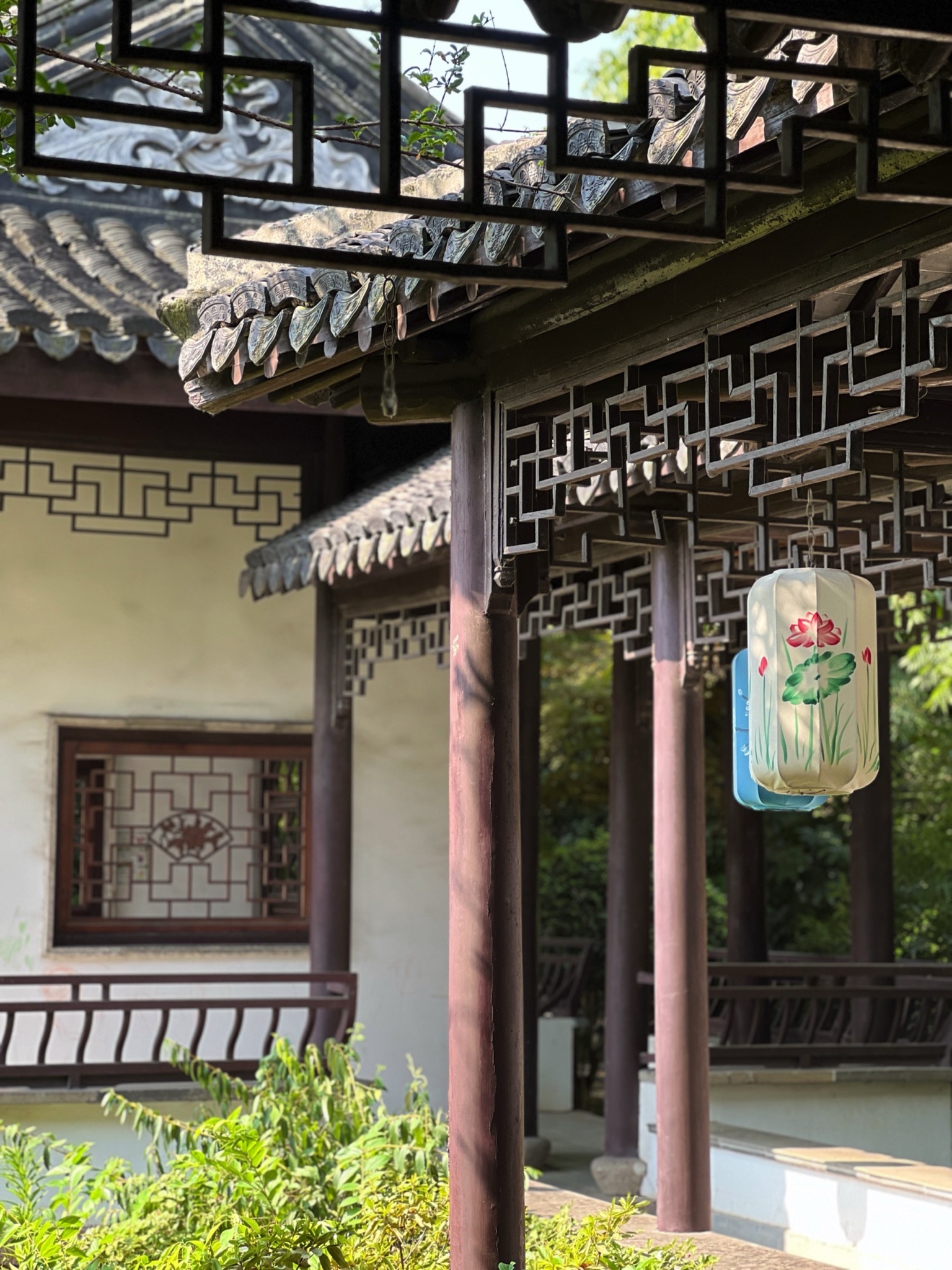 锦绣园旅行图片