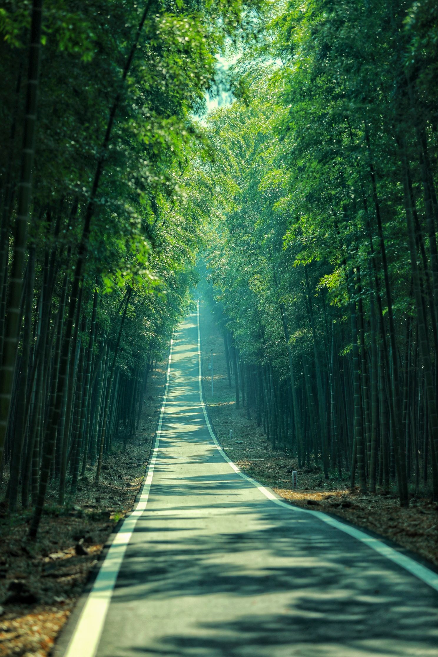 宜兴国家森林公园