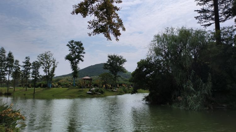 阳山桃花源景区