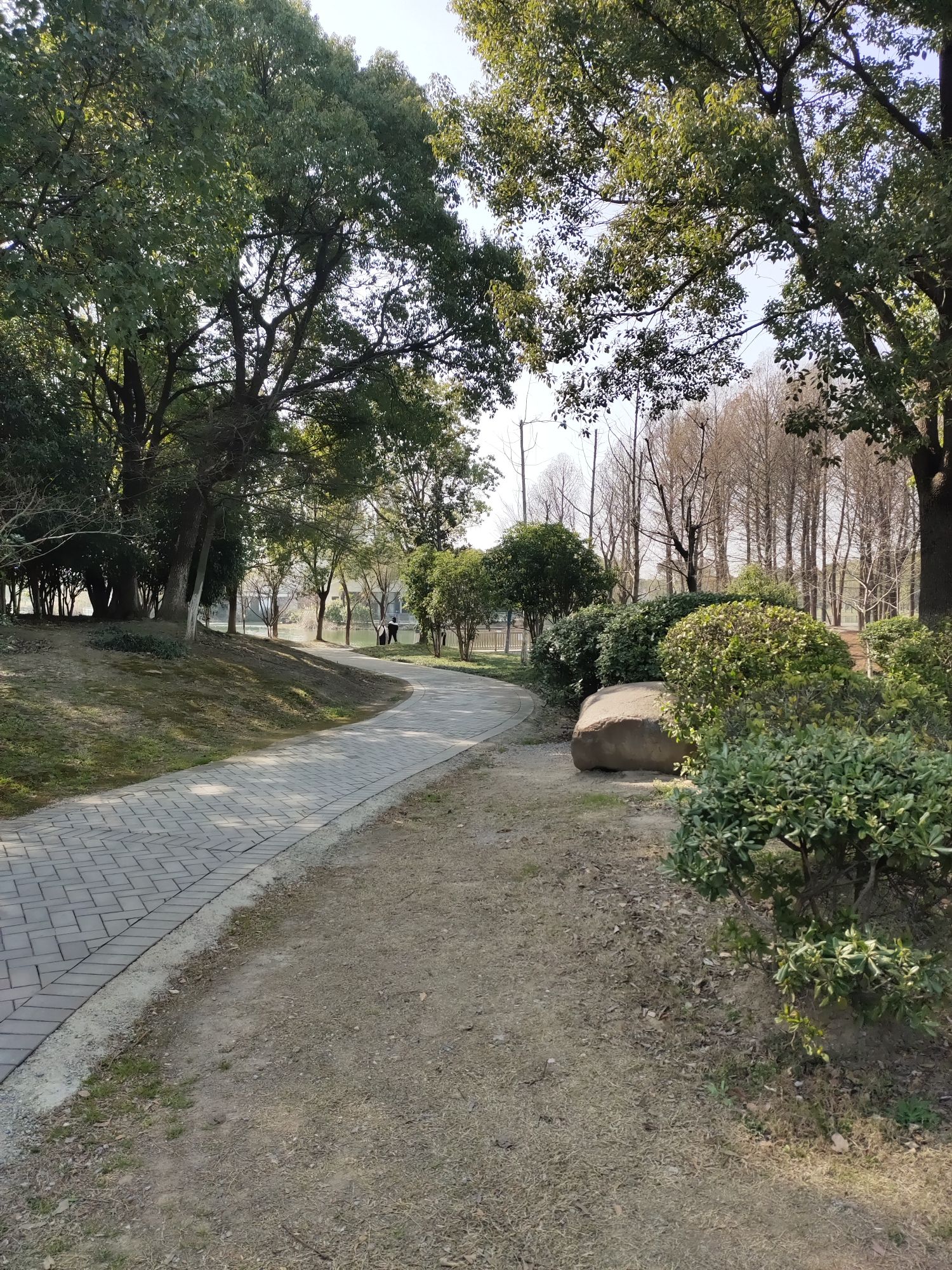 惠山湿地公园
