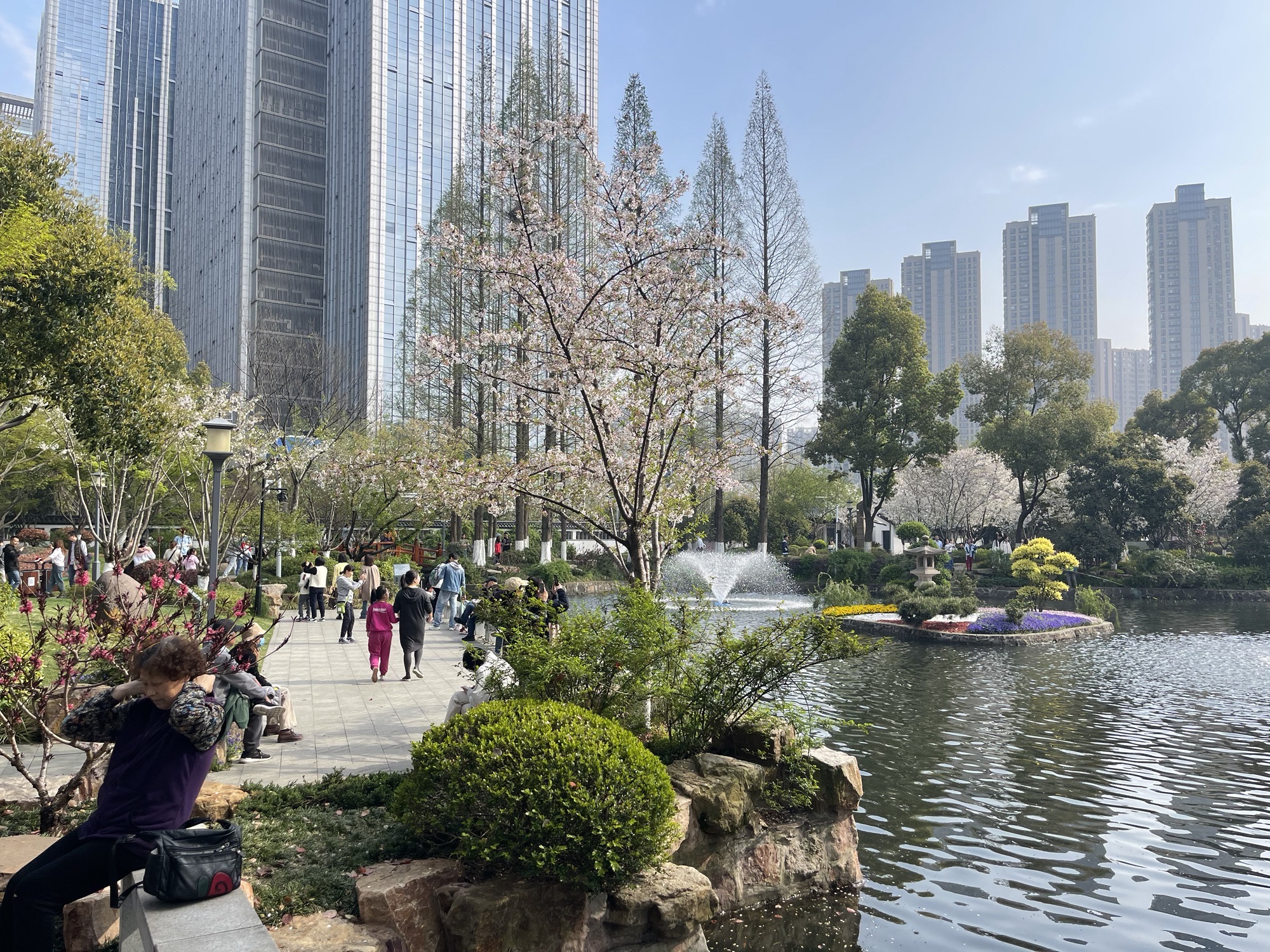 友好园