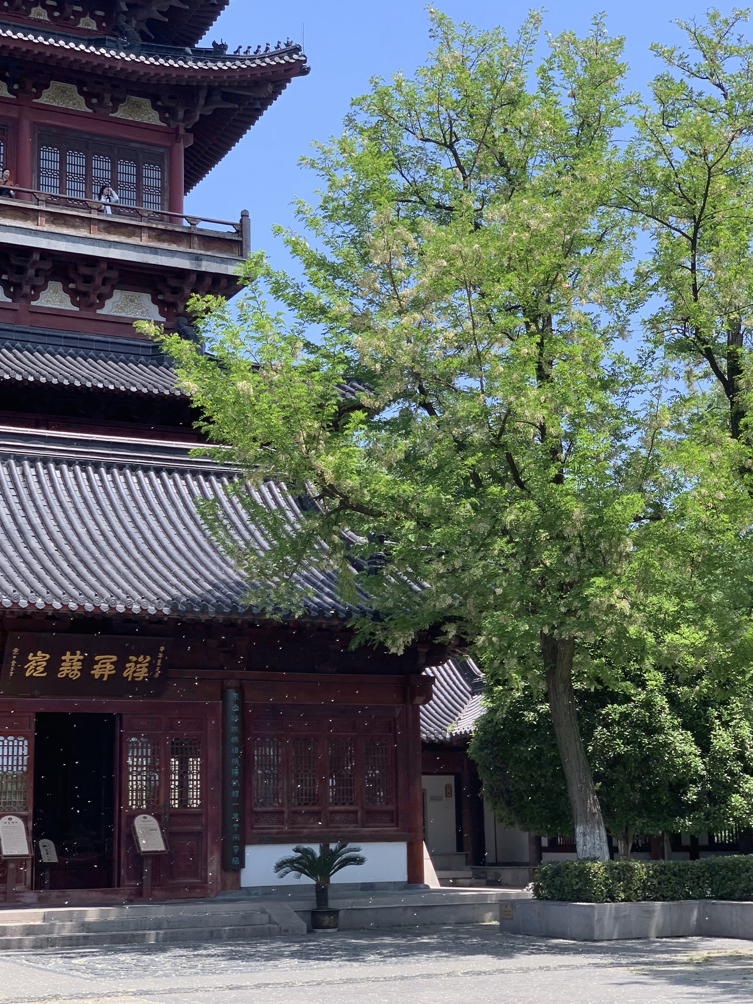 西津渡古街旅行图片