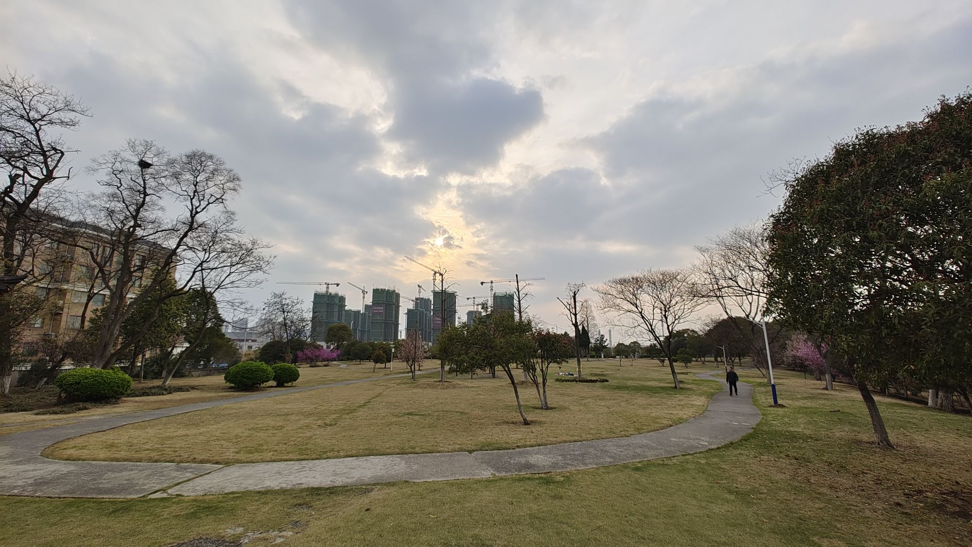 城头山遗址