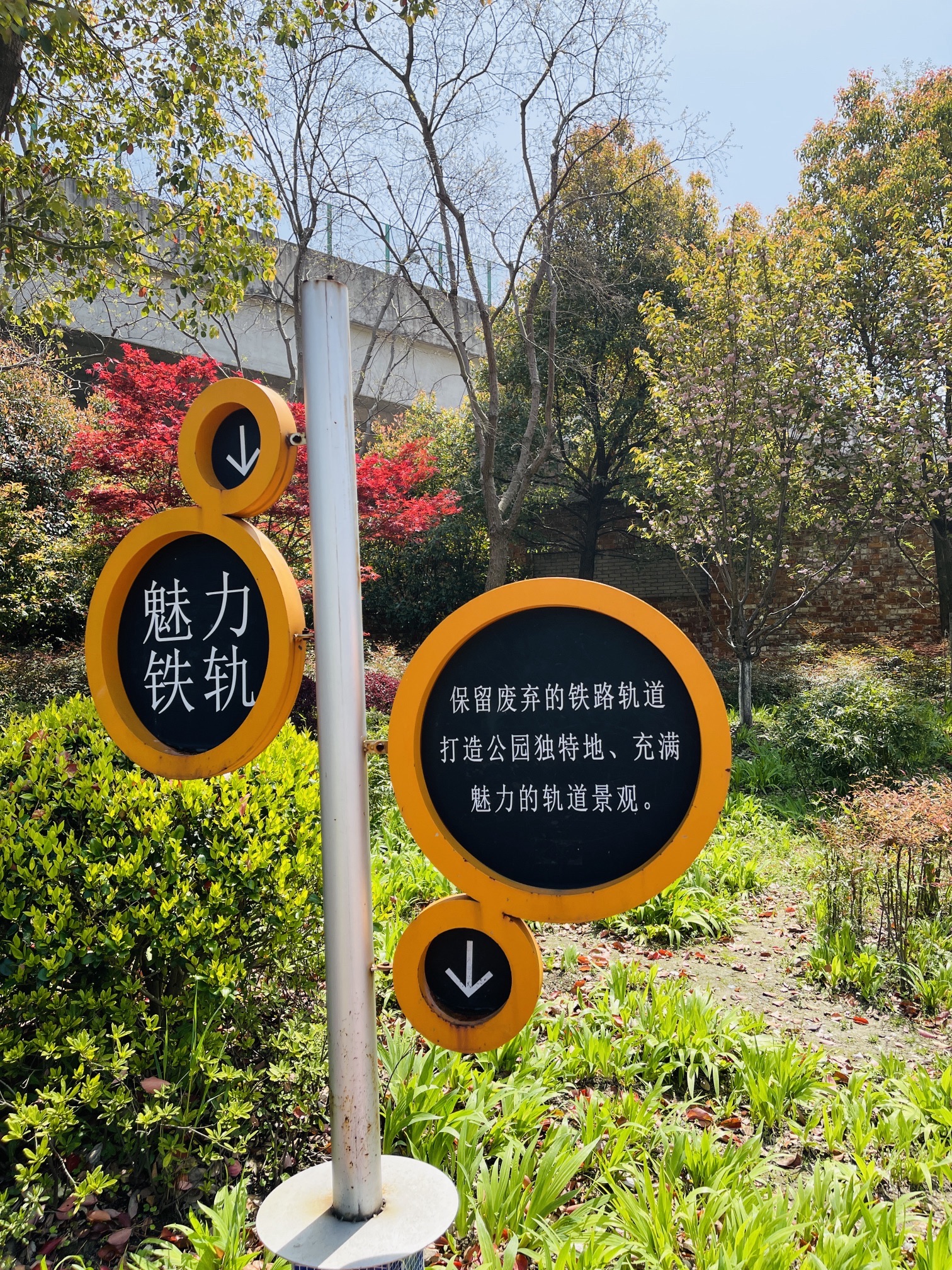 合兴公园