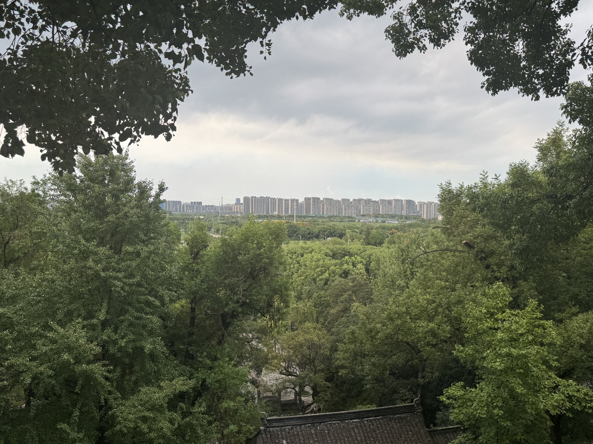 虎丘山风景区旅行图片