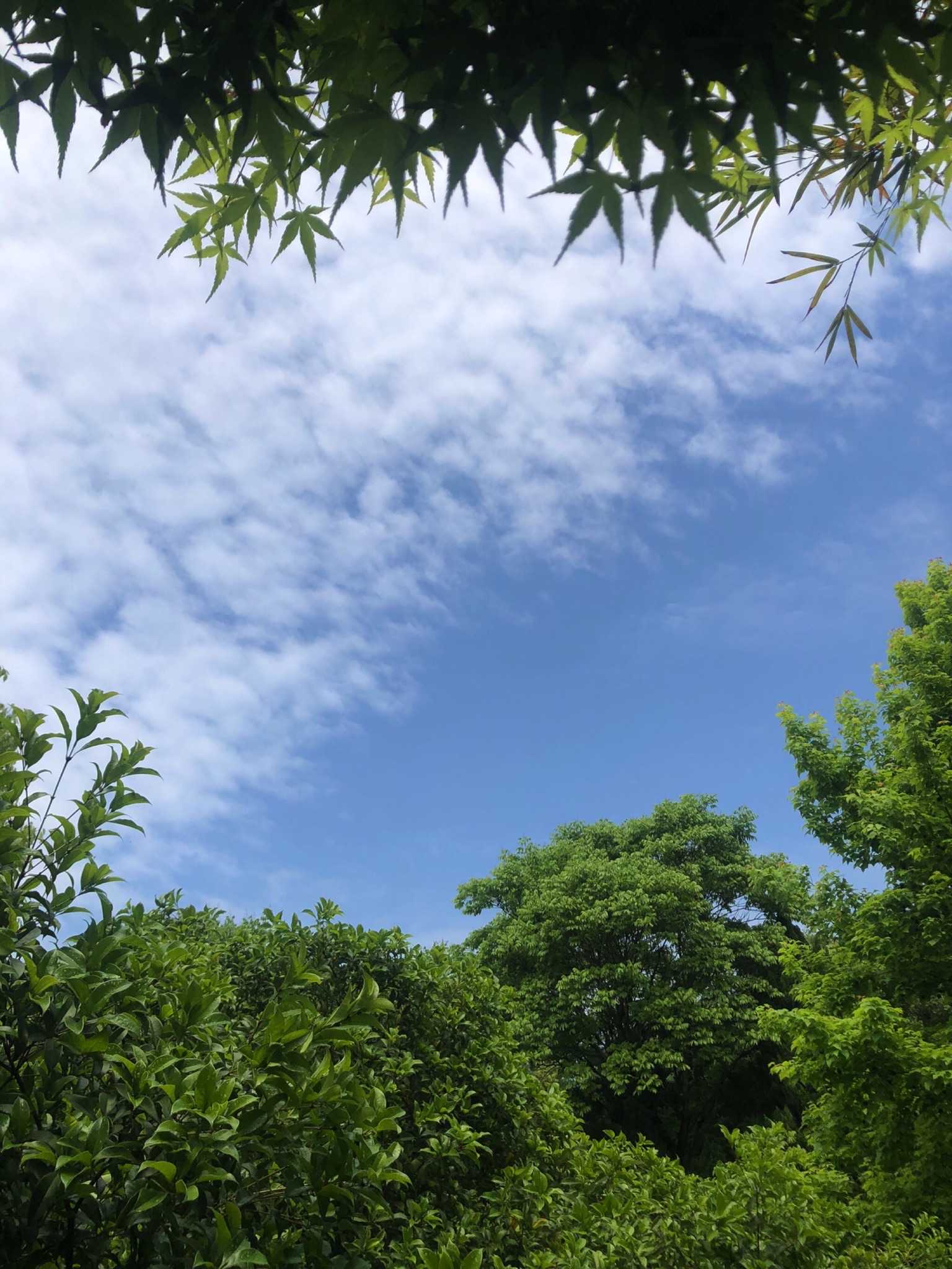 黎里公园旅行图片