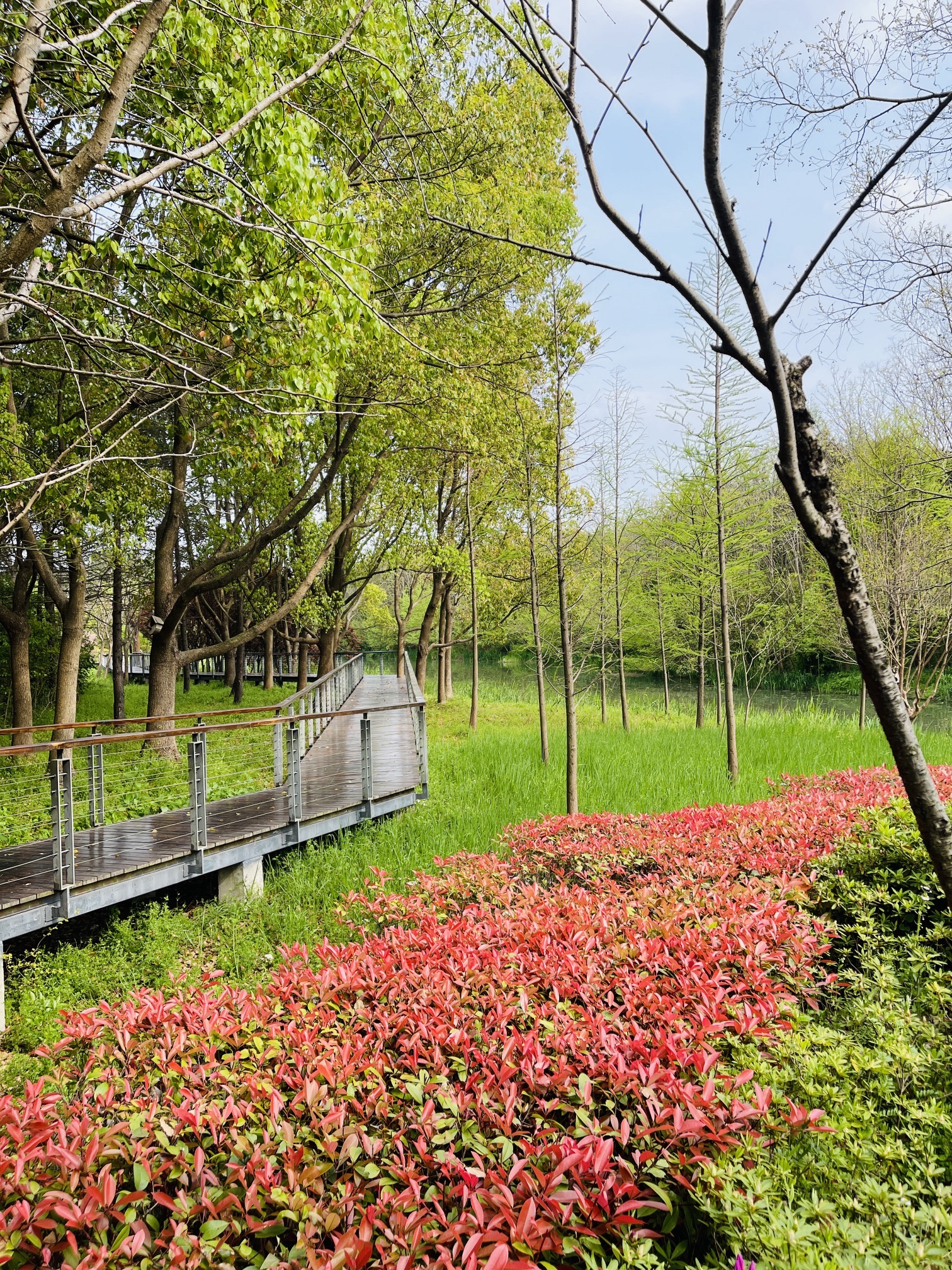 昆山市城市生态森林公园