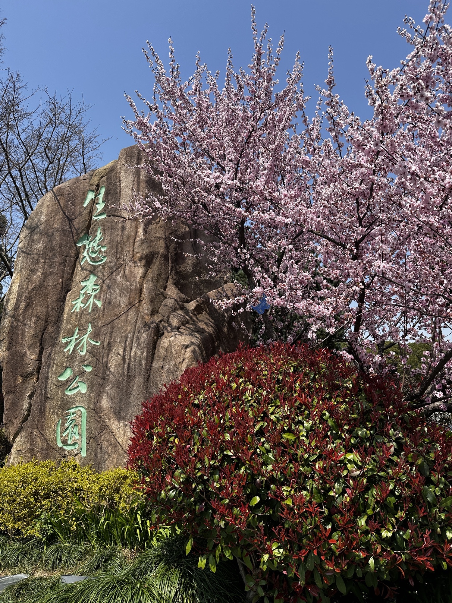 昆山市城市生态森林公园旅行图片