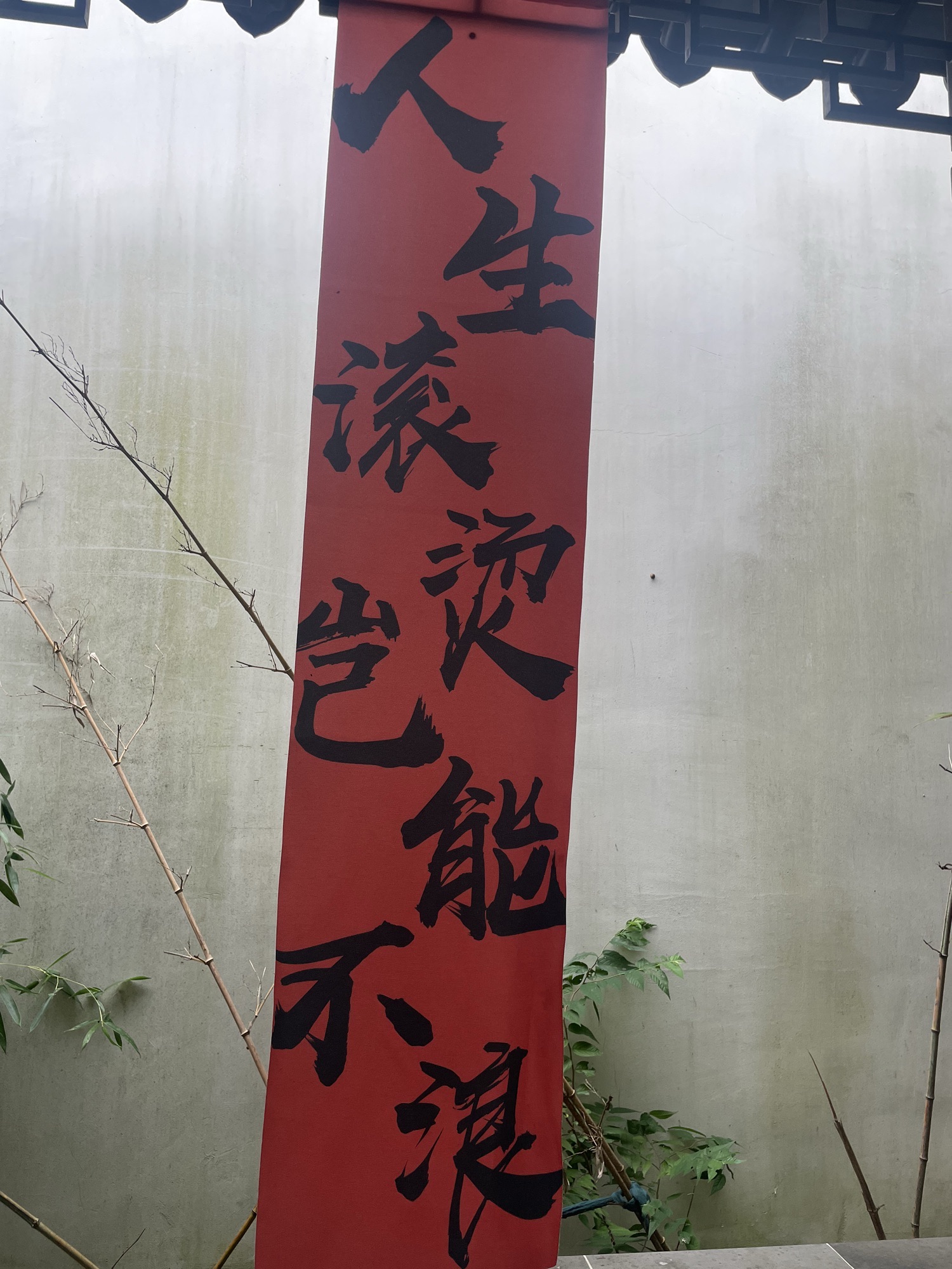 亭林园旅行图片