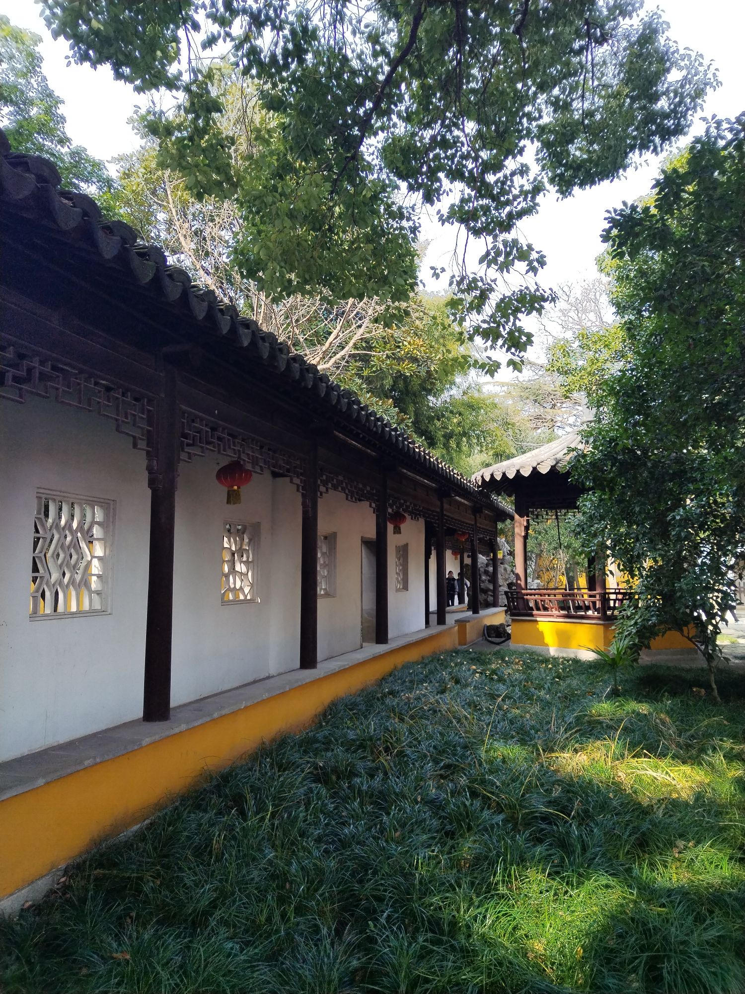 报恩寺塔旅行图片