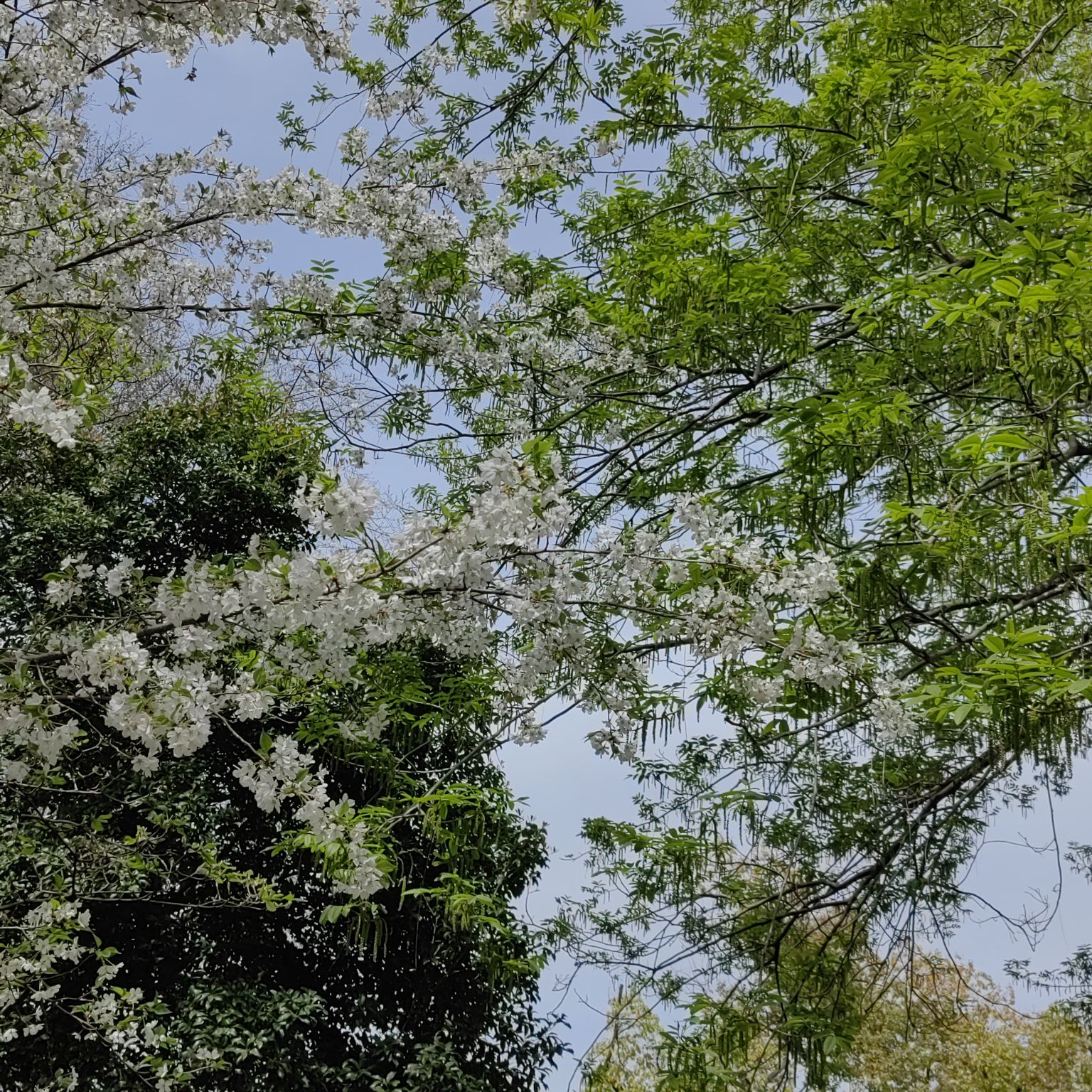 东园旅行图片