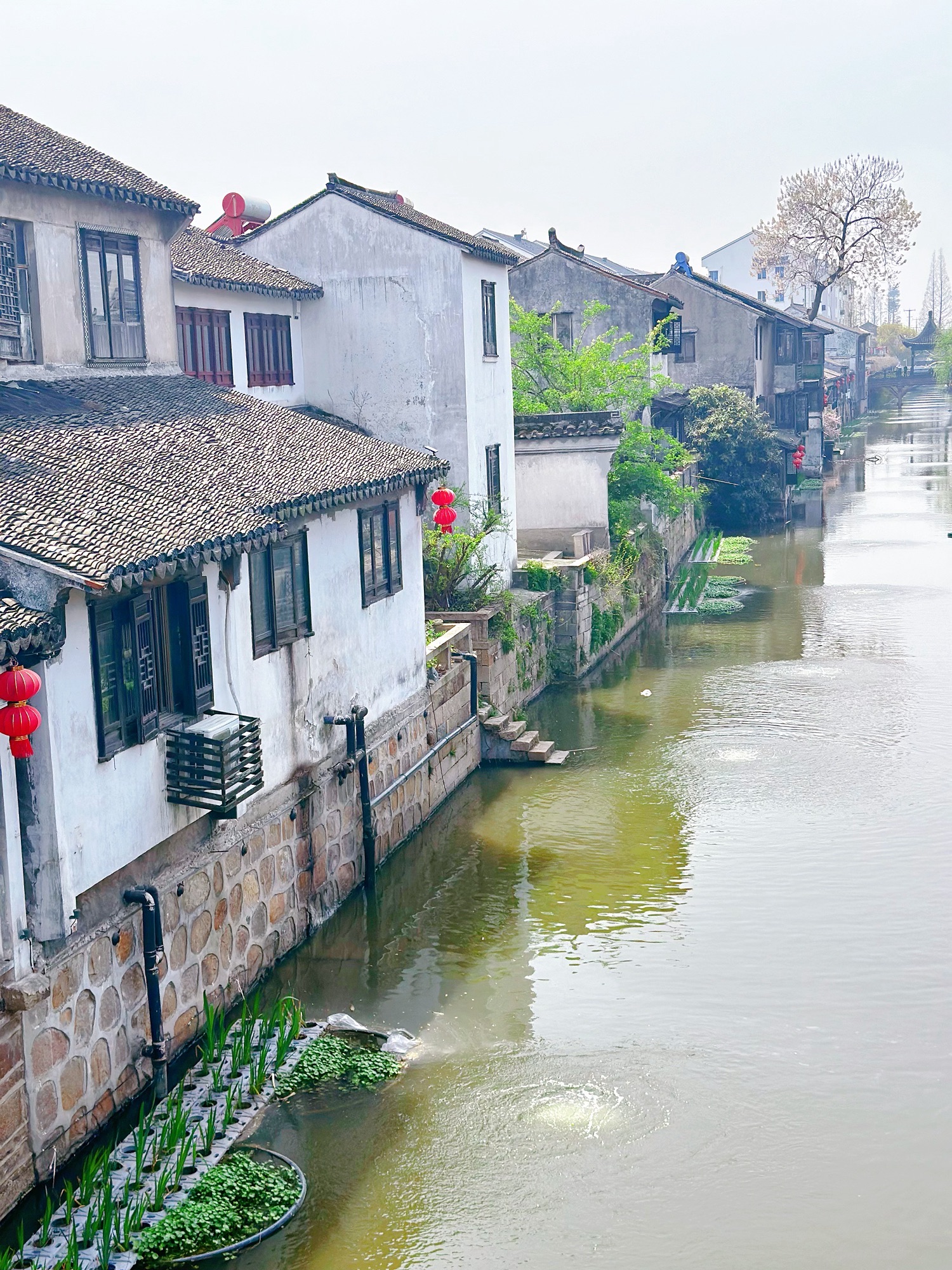 沙溪古镇