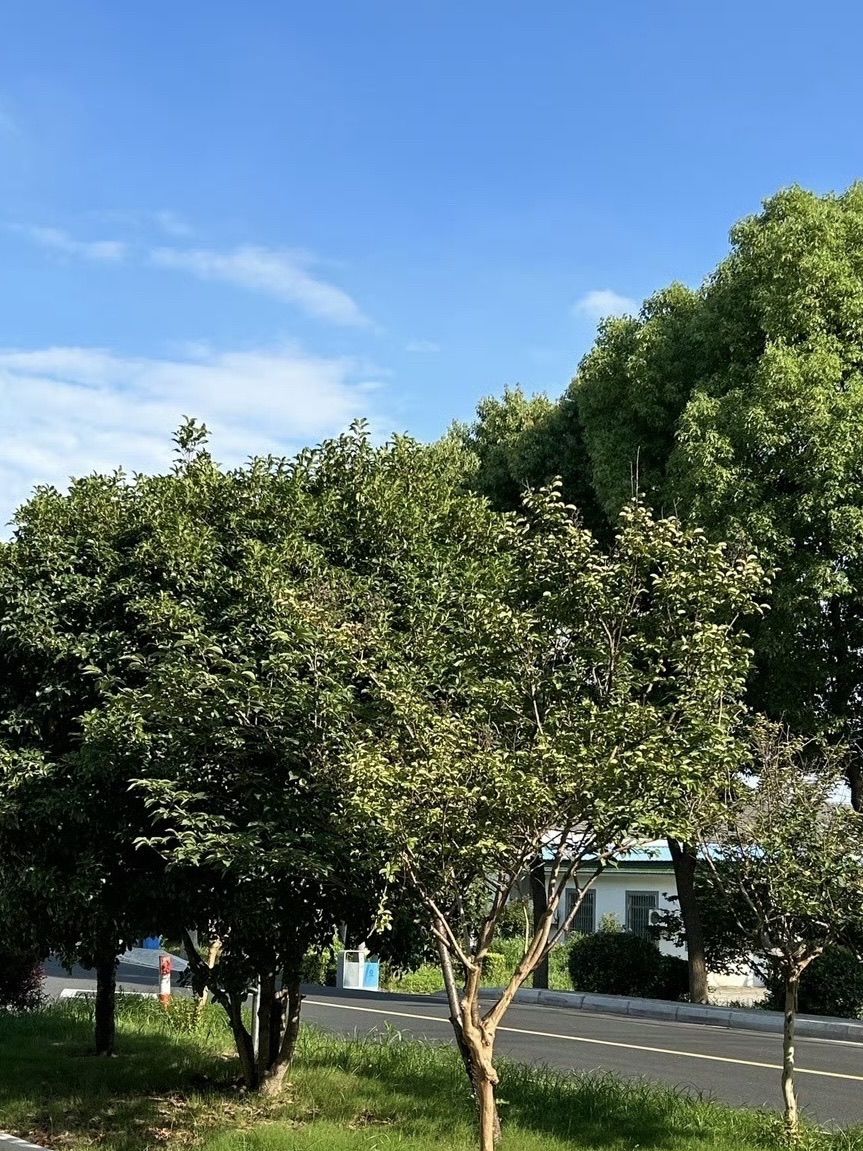 漕湖湿地公园