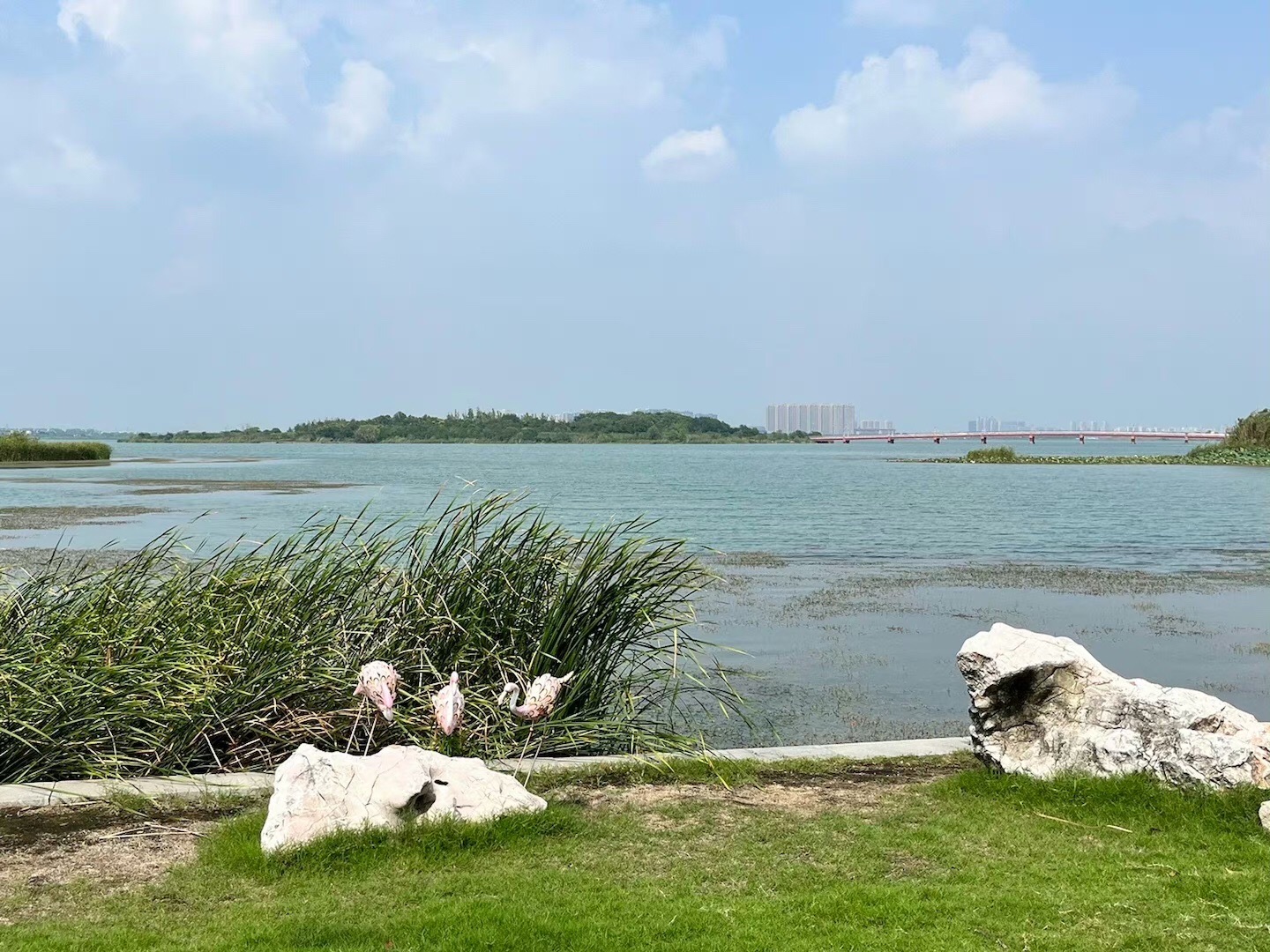 盛泽湖景区旅行图片