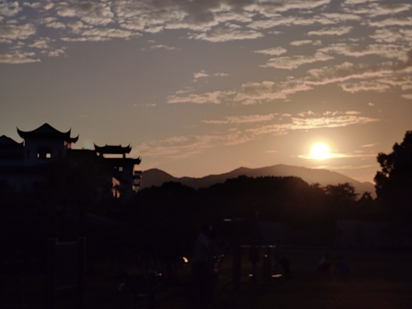 大白荡城市生态公园