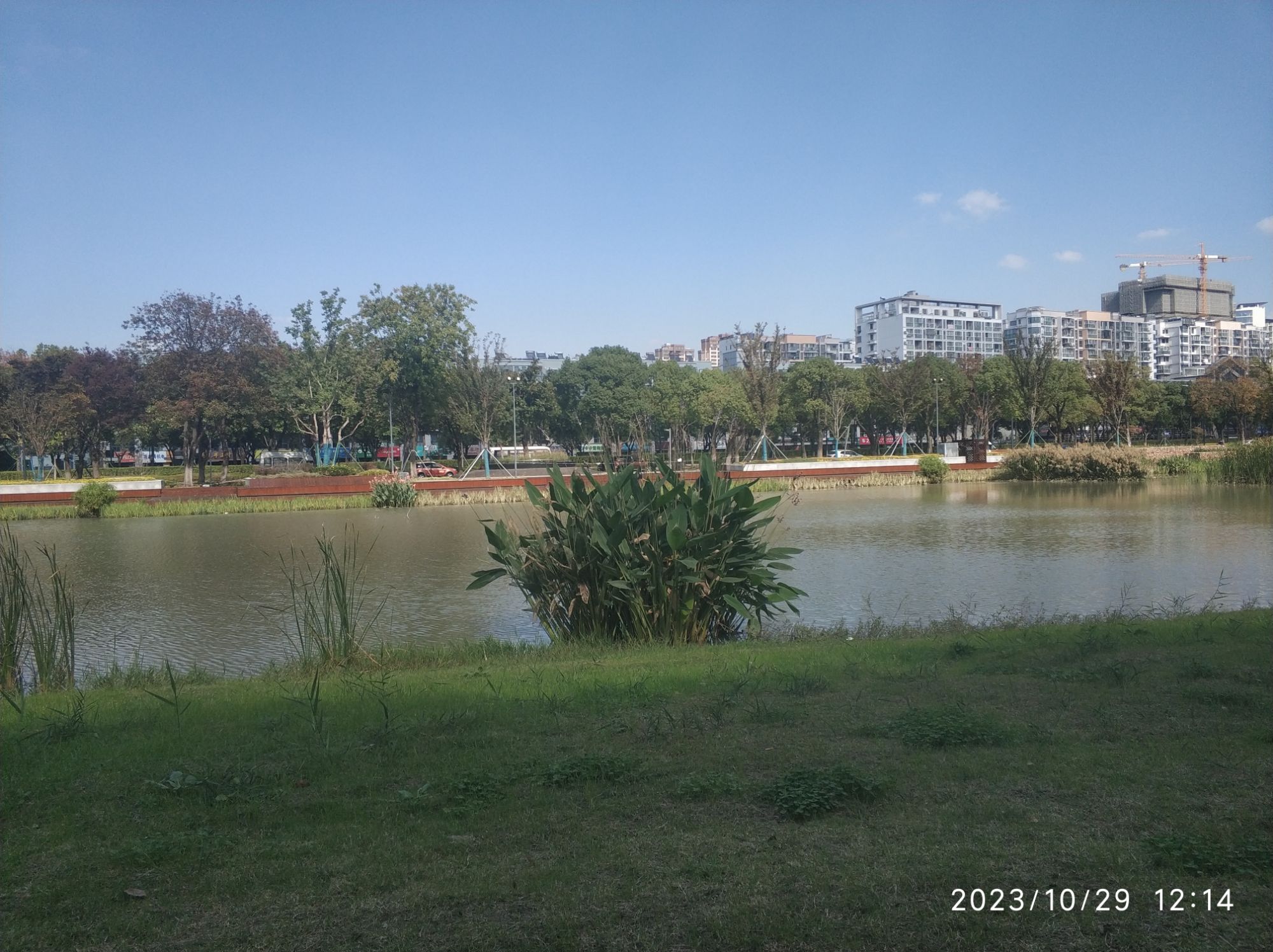 莲湖公园旅行图片