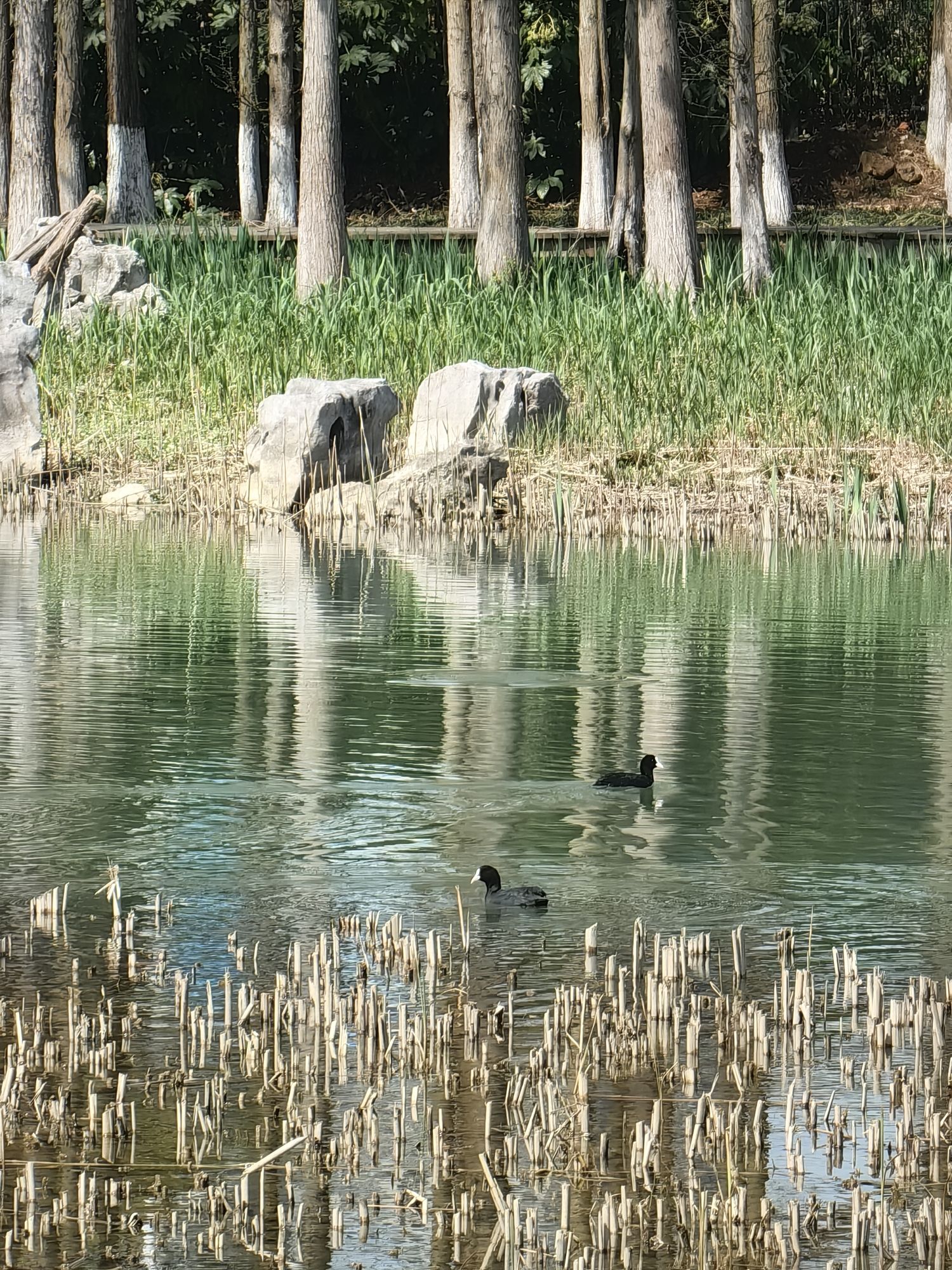 苏州市吴中太湖旅游区