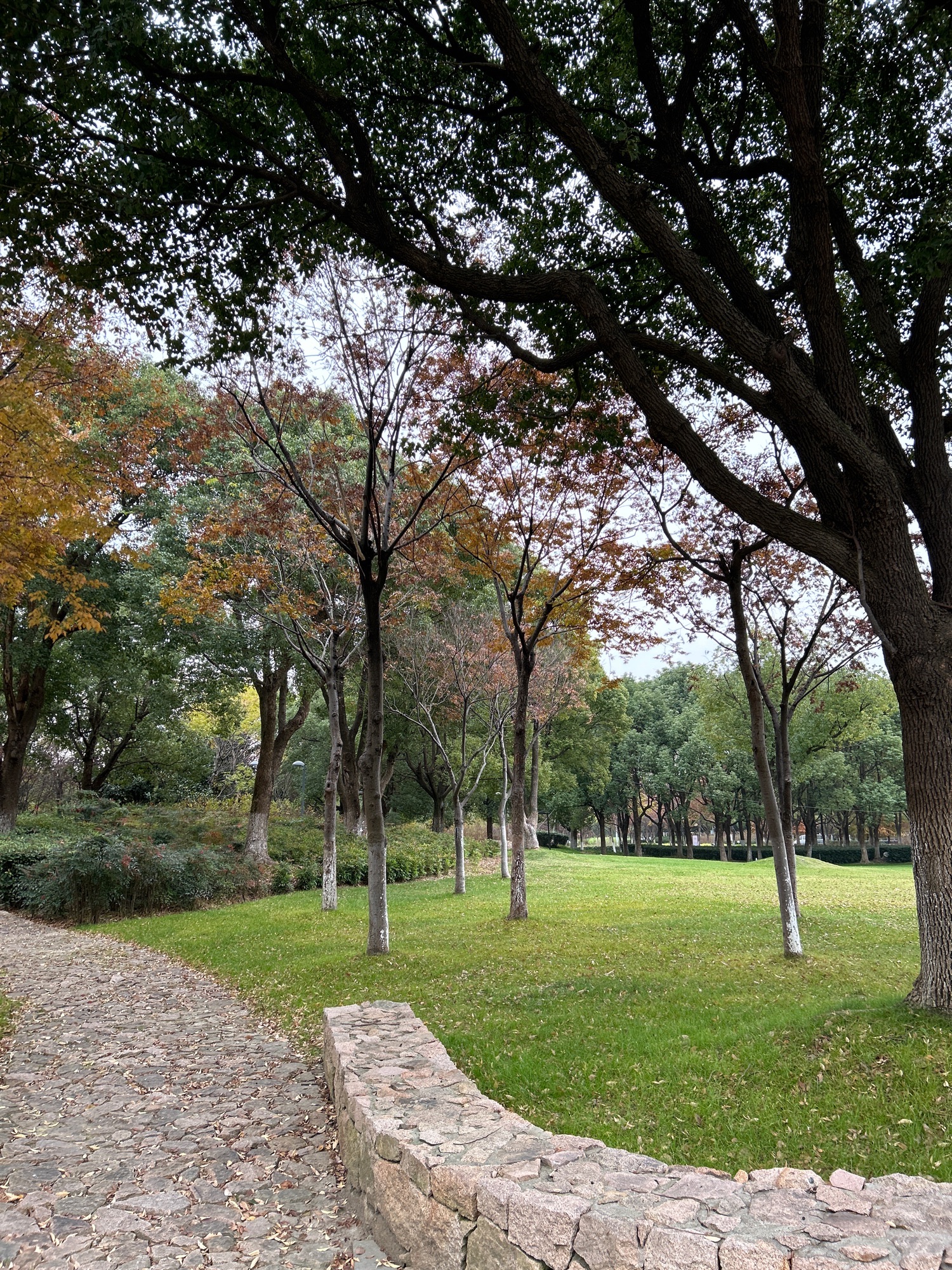 阳澄湖公园(环城西路)