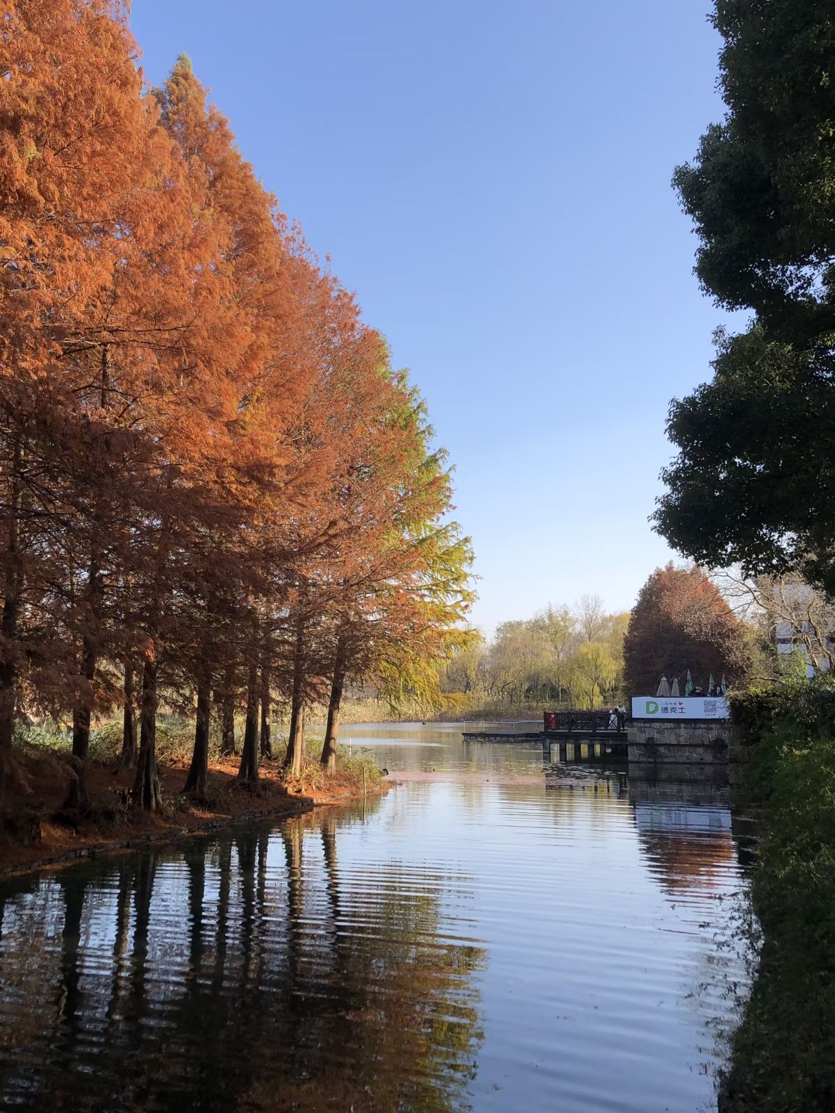 虎丘湿地公园