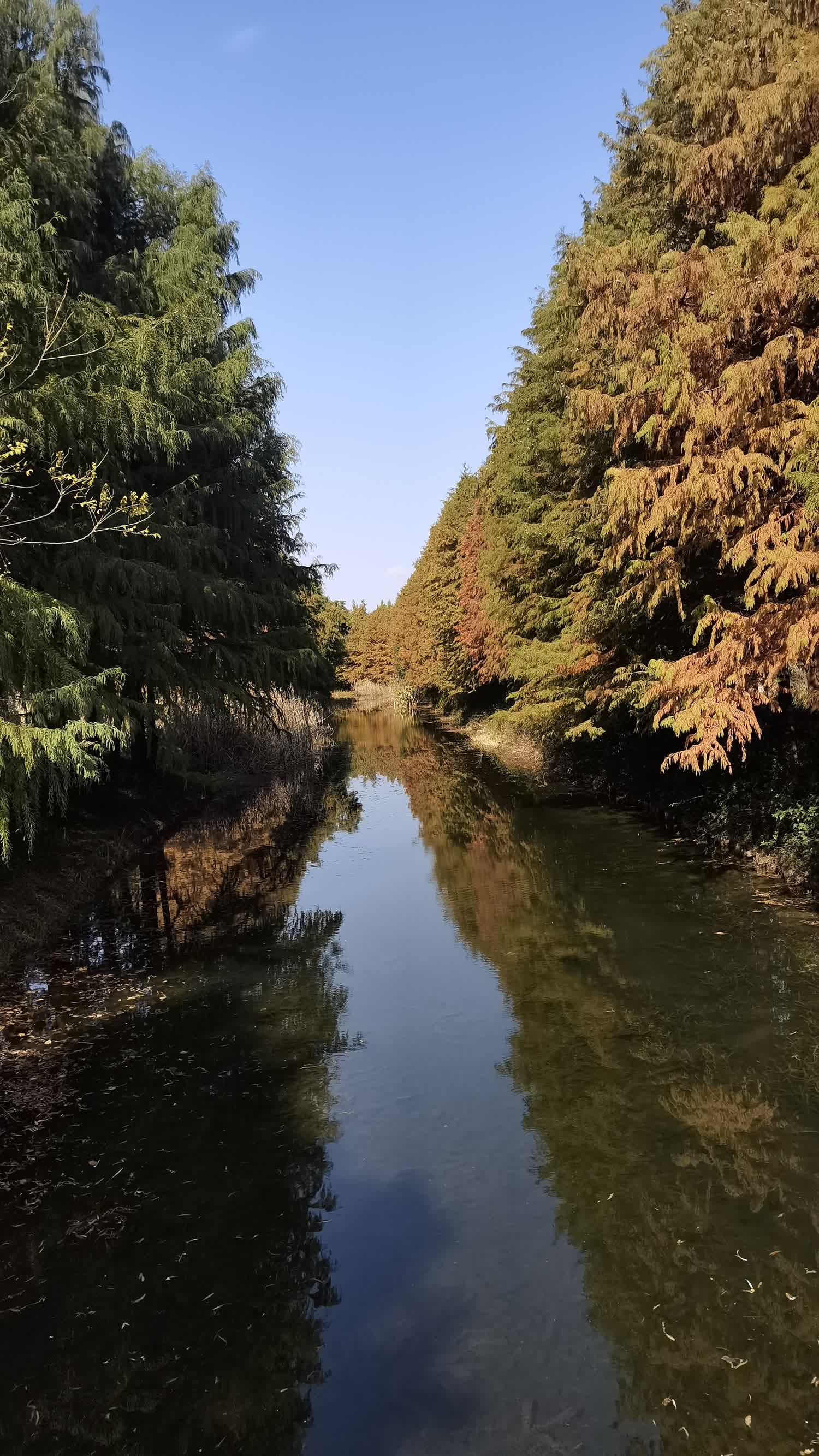 虎丘湿地公园旅行图片
