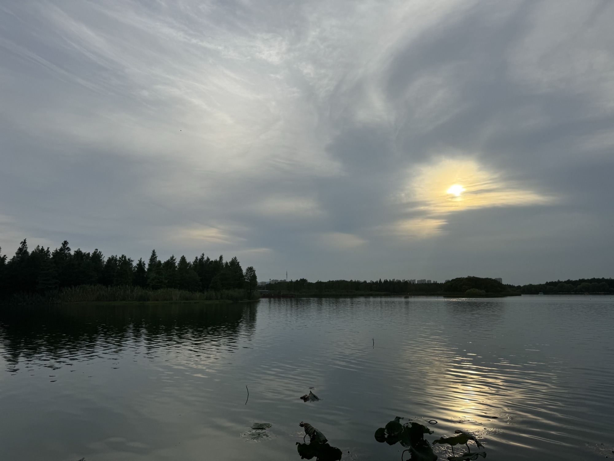 虎丘湿地公园旅行图片