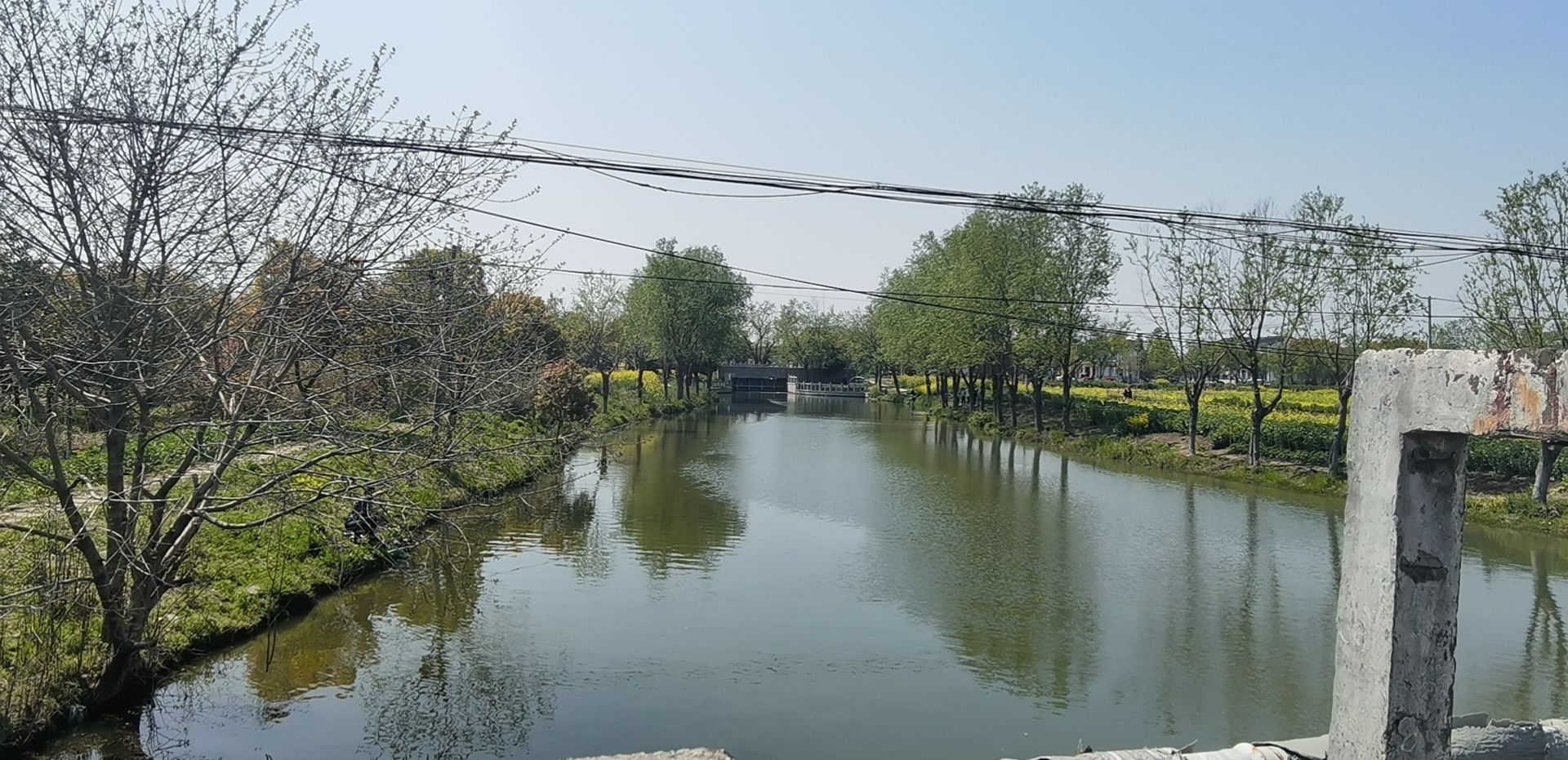 顾炎武公园旅行图片