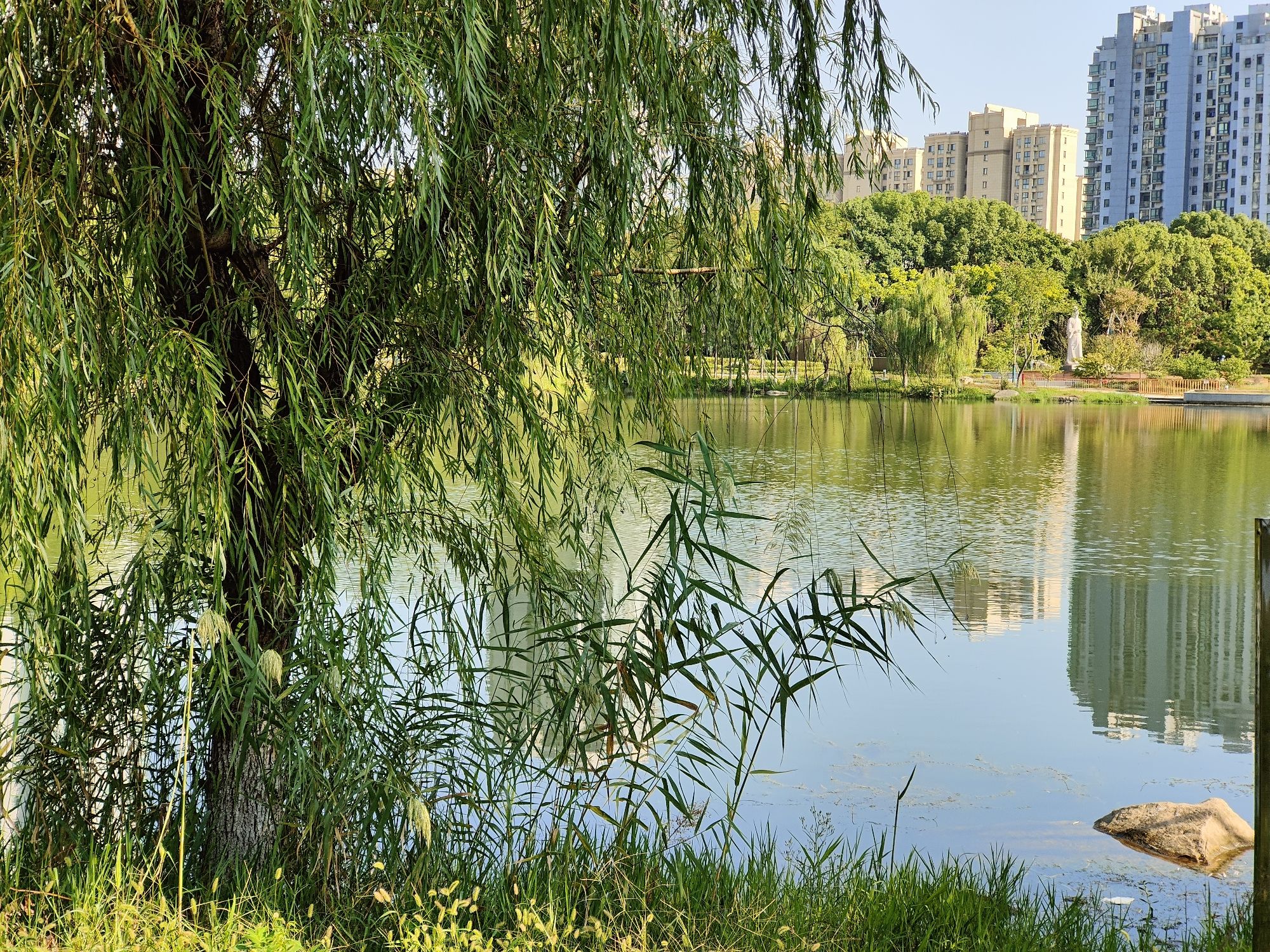 顾炎武公园旅行图片