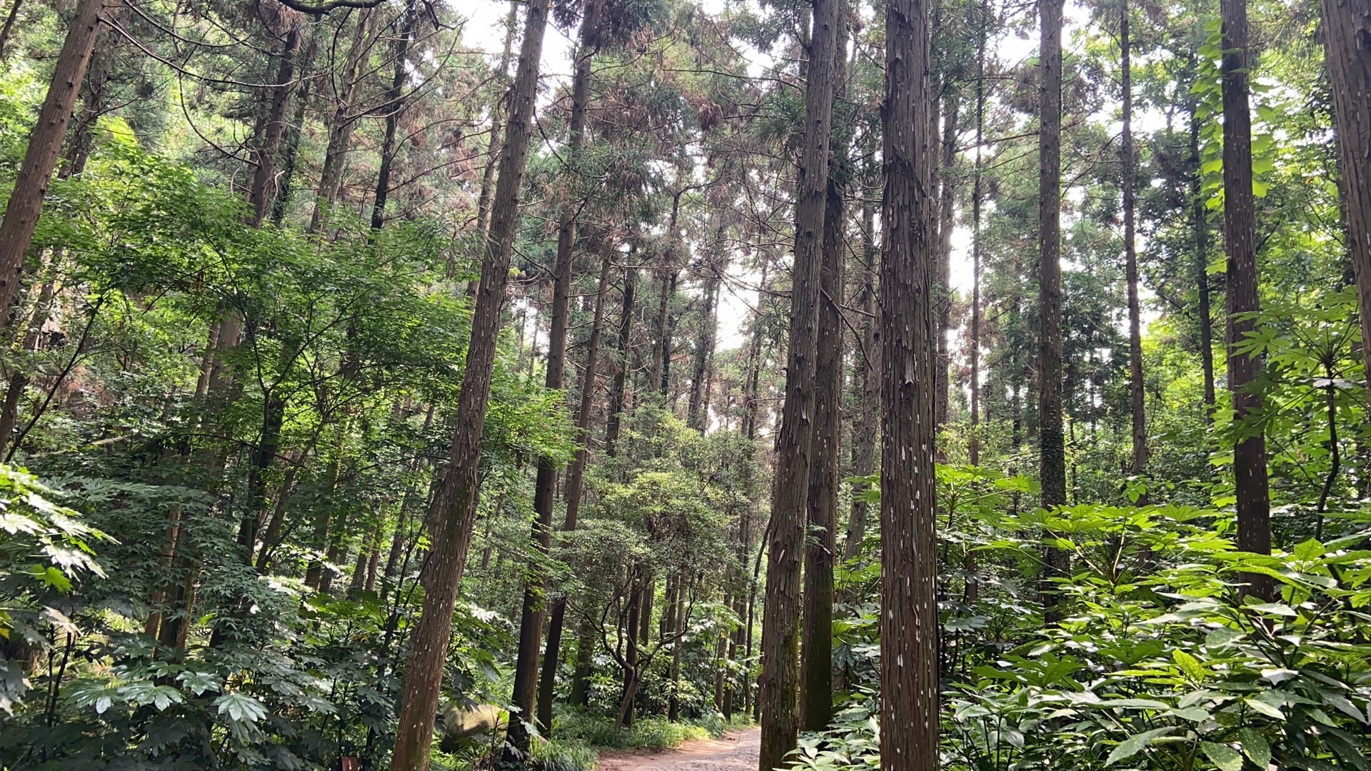 南通狼山风景名胜区